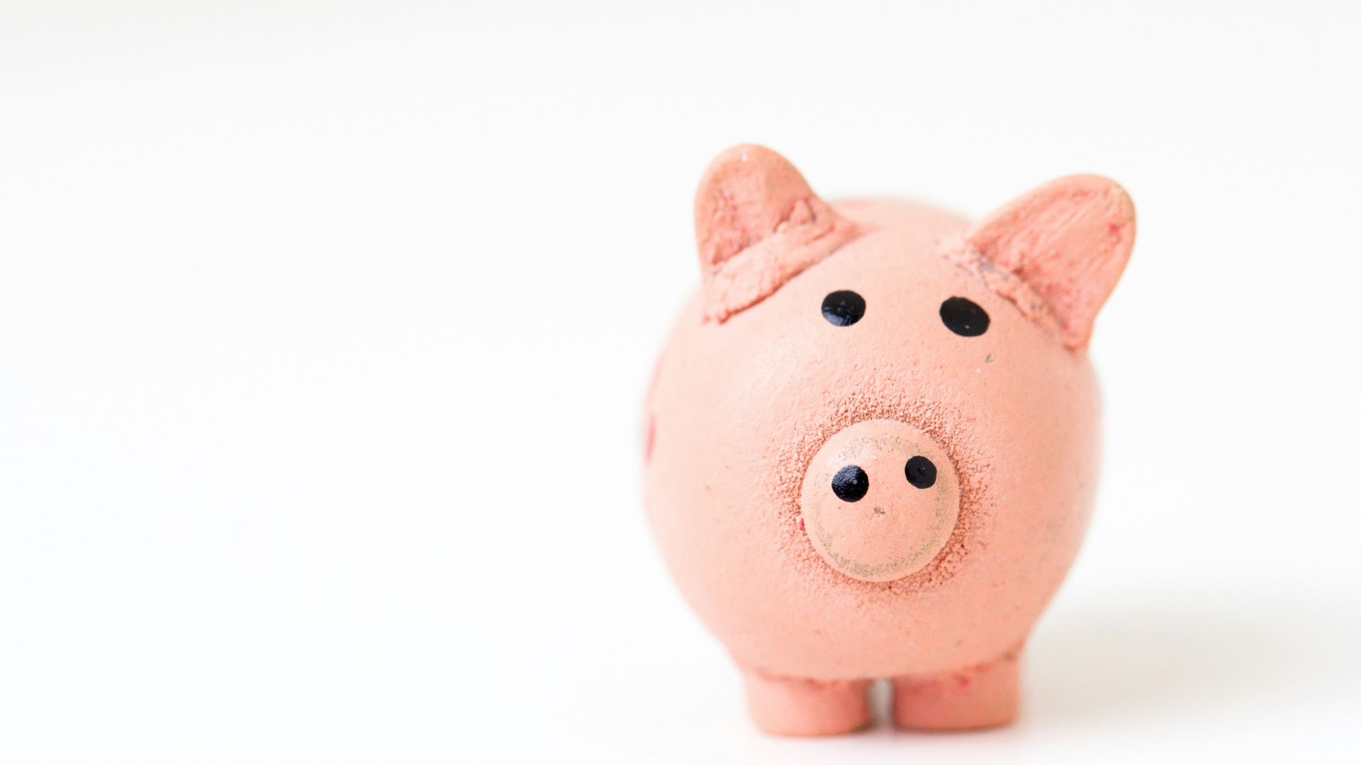 pink pig figurine on white surface