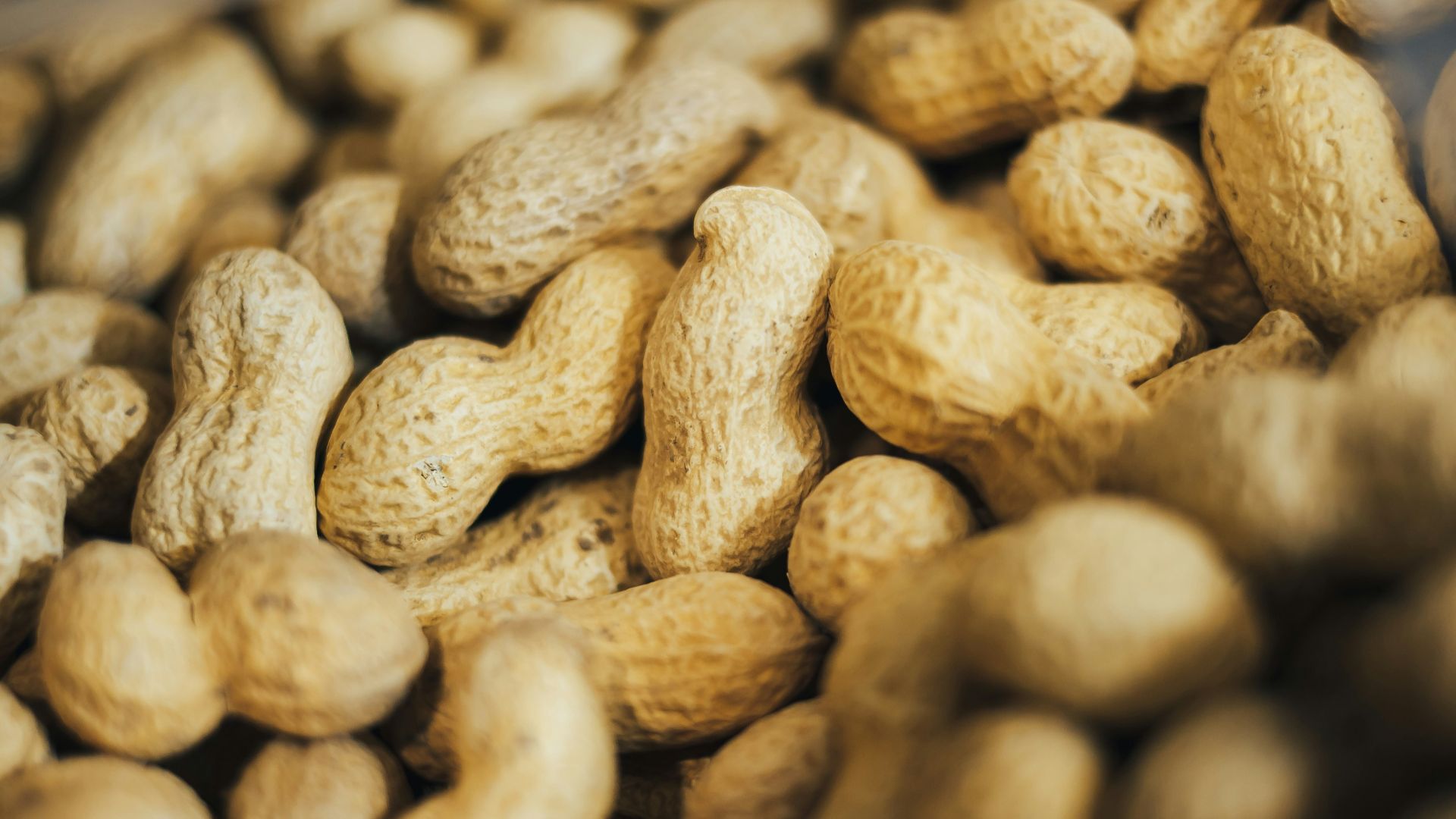 pile of peanuts