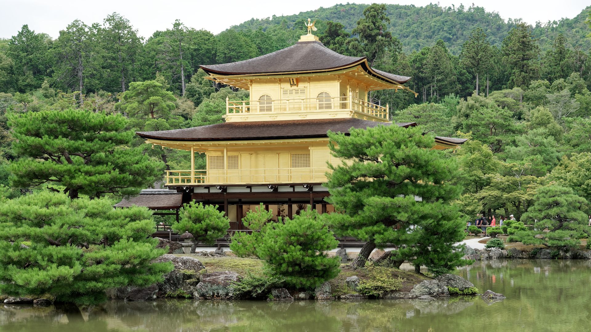 File:Golden Pavilion, Kinkaku-ji, Kyoto, 20240820 1522 5125.jpg