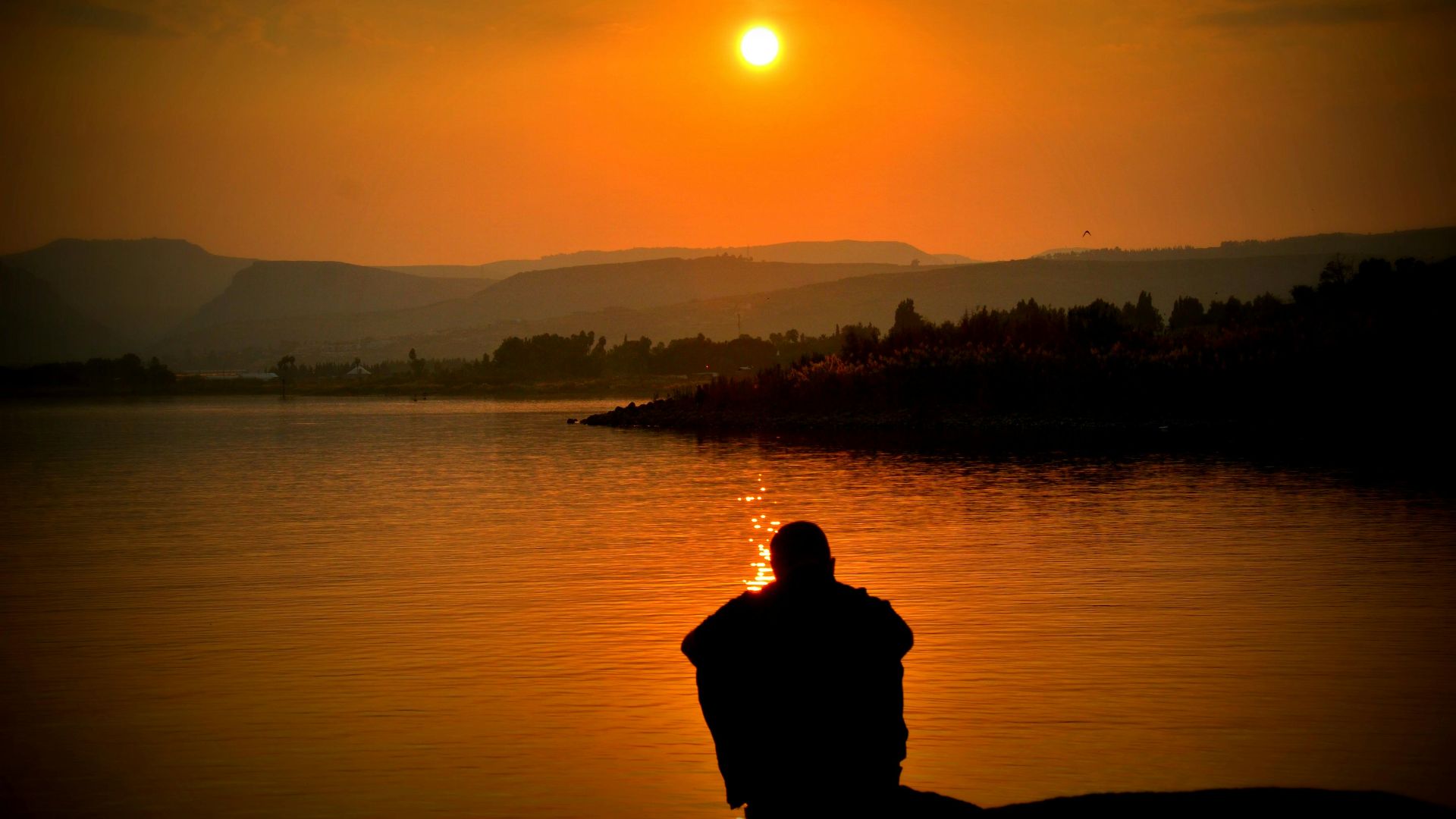 Download a pic Donate a buck! ^