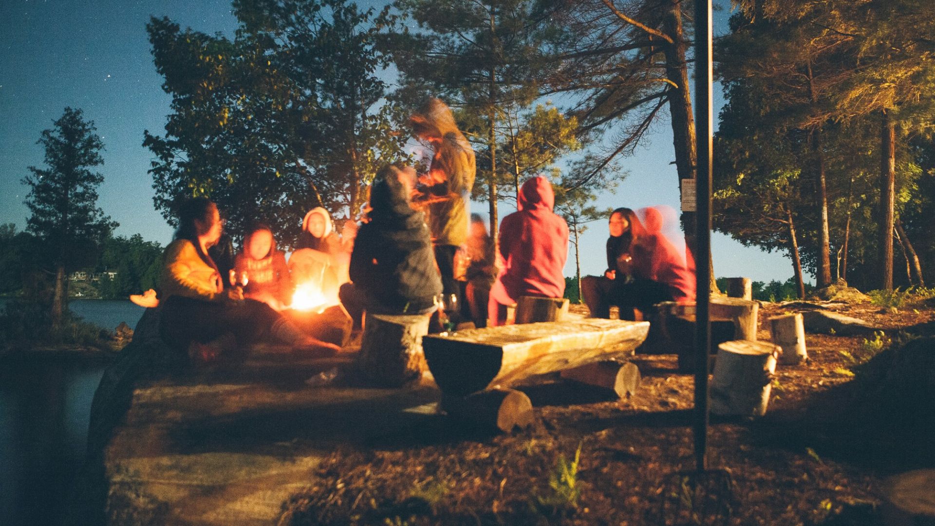 group of people near bonfire near trees during nighttime