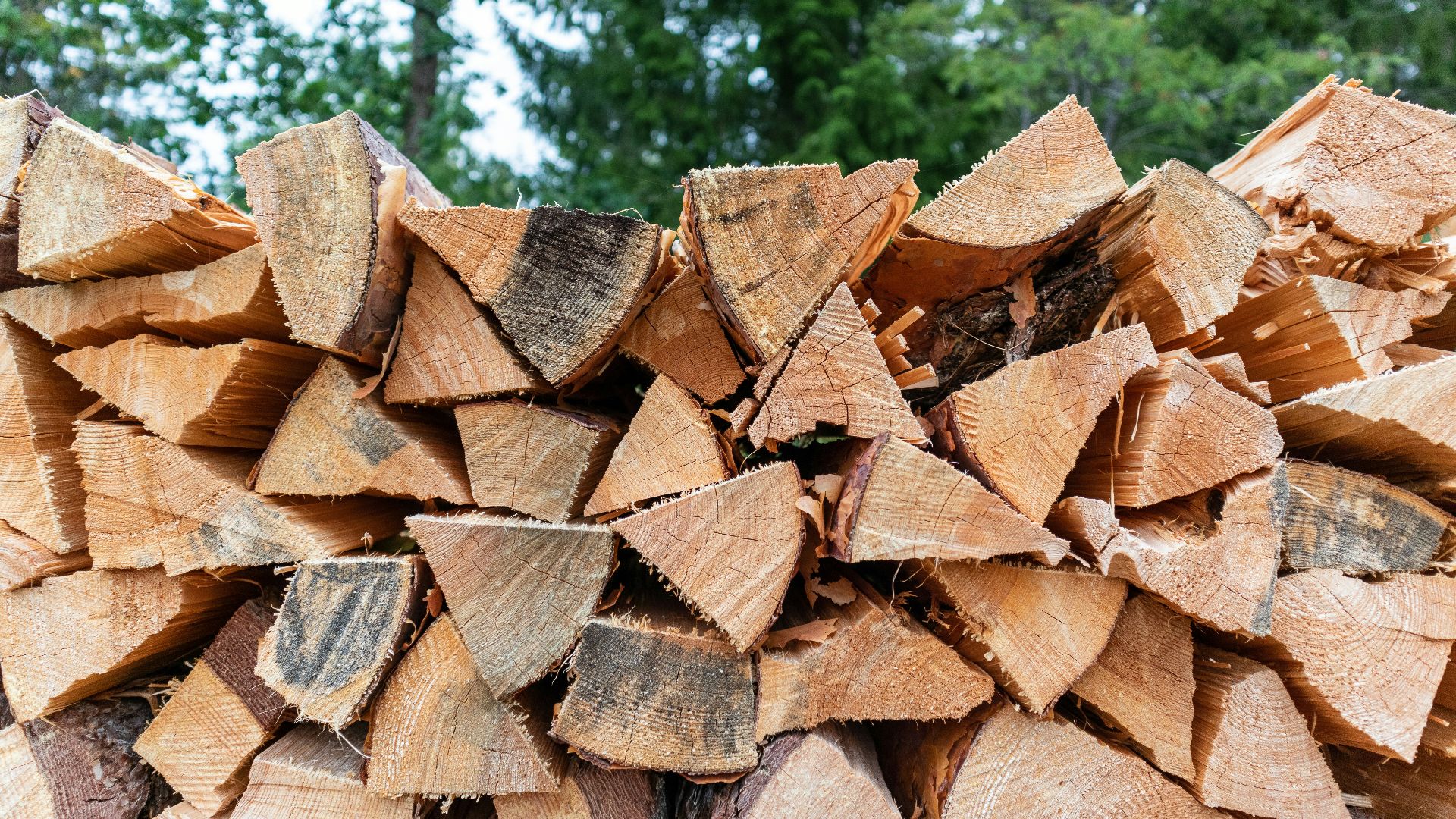 brown firewood lot