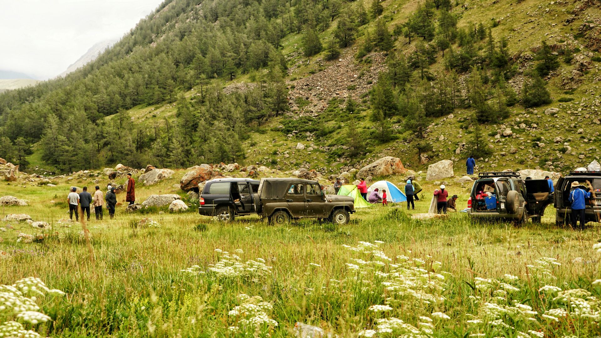 people sitting on grass field near cars and mountains during daytime