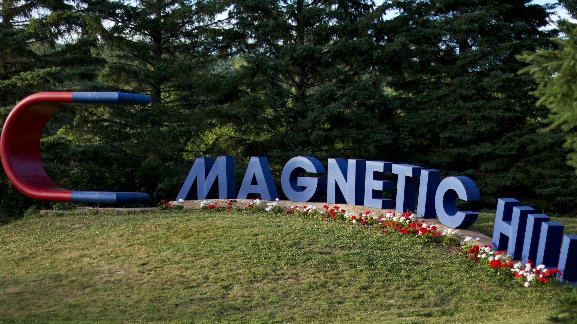 red and black plane on green grass field