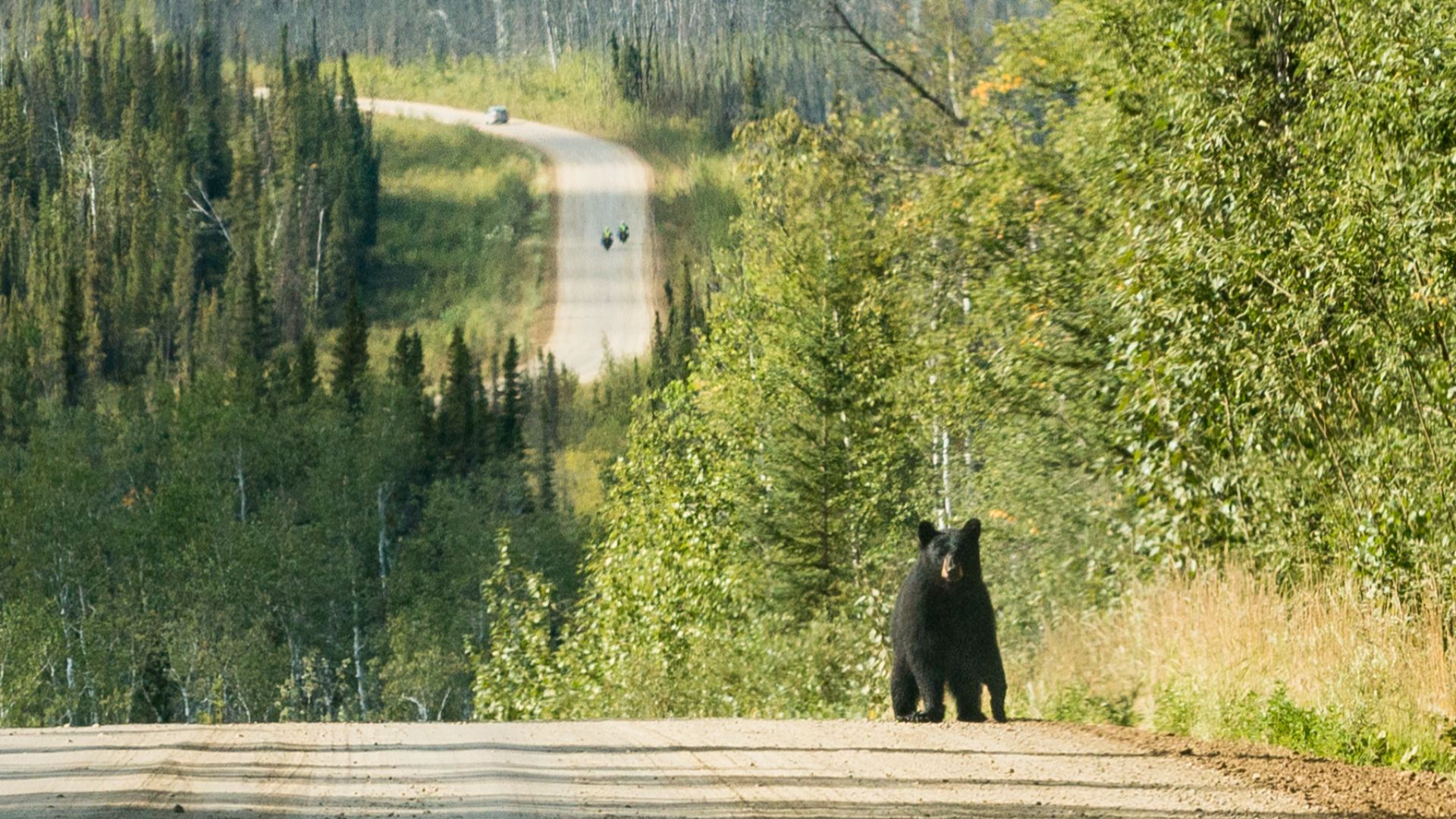 File:Welcome to the Dalton Highway! (39330774692).jpg