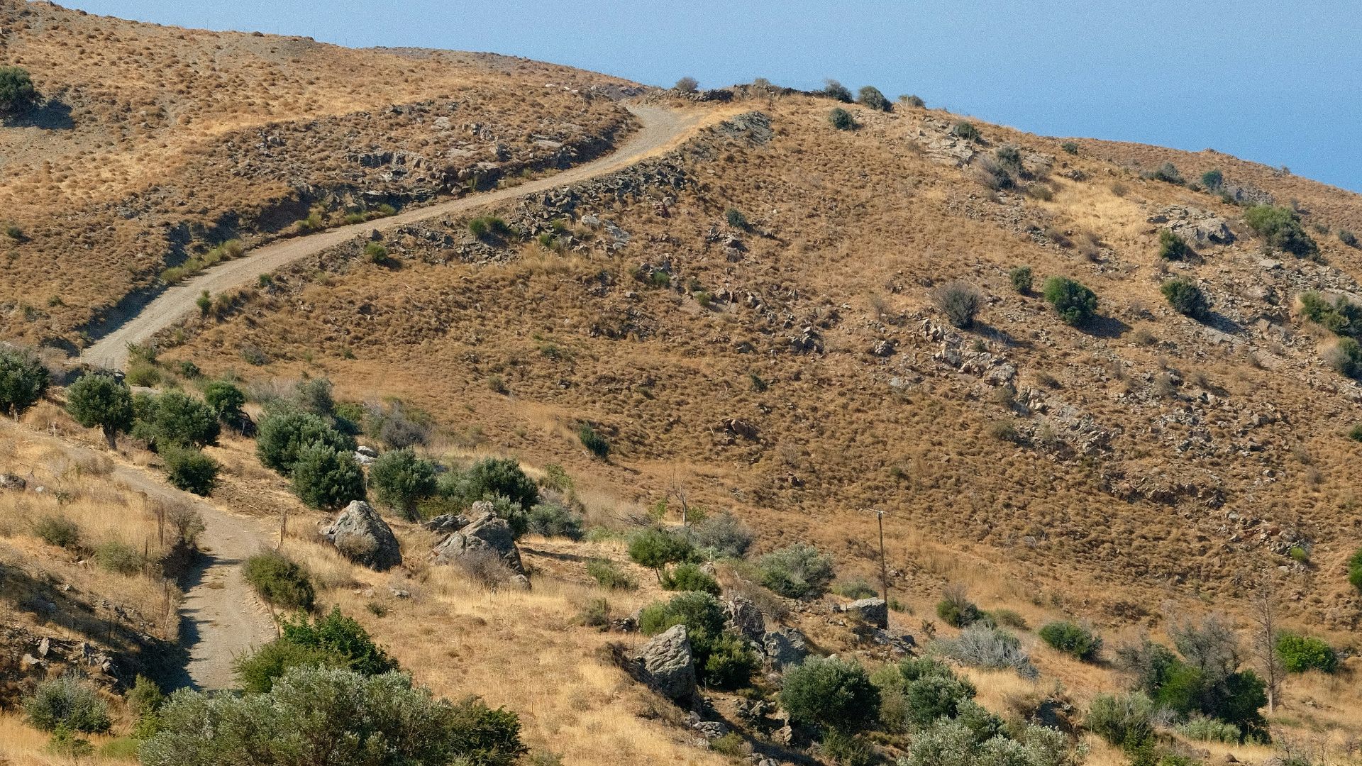 a dirt road going up a hill in the desert