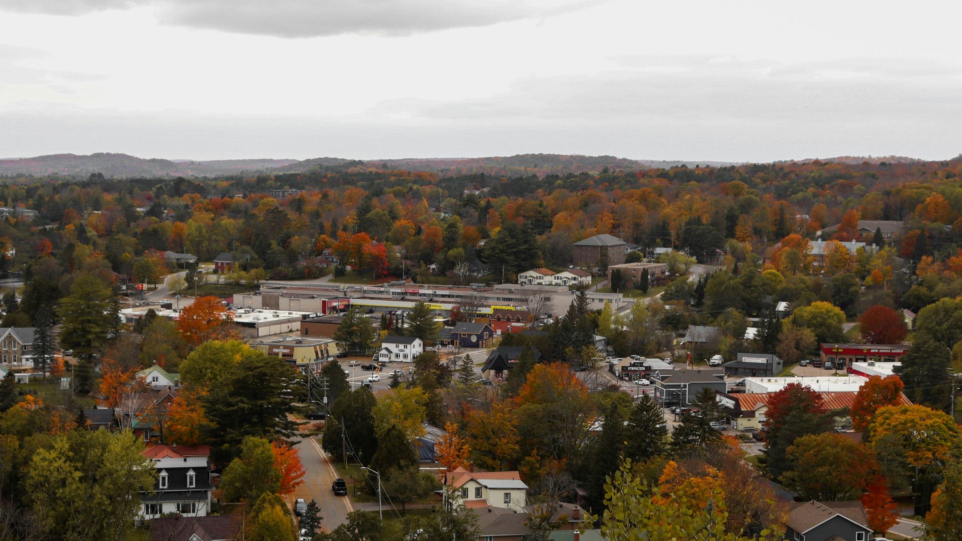 aerial view of city during daytime