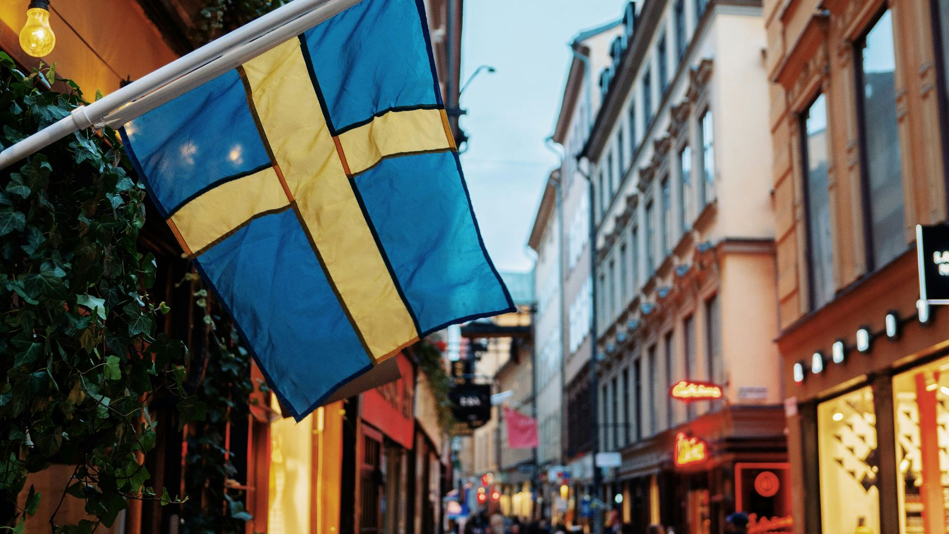 people at the street between commercial buildings