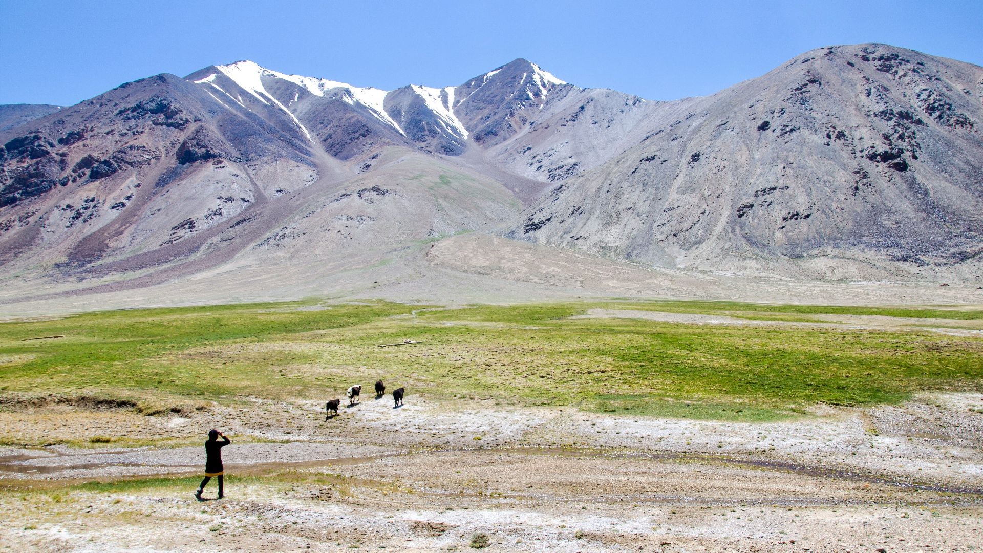 2 people walking on green grass field near gray mountain during daytime