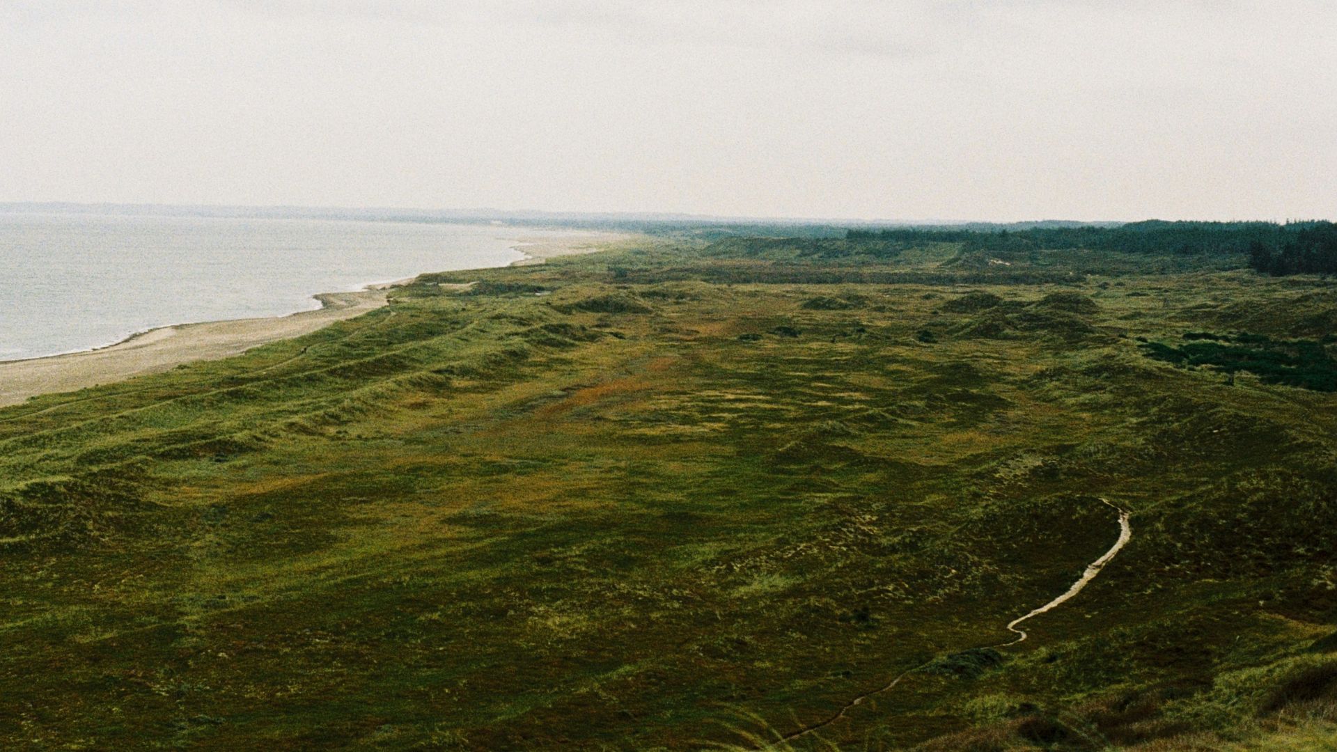 A grassy hill with a beach in the background