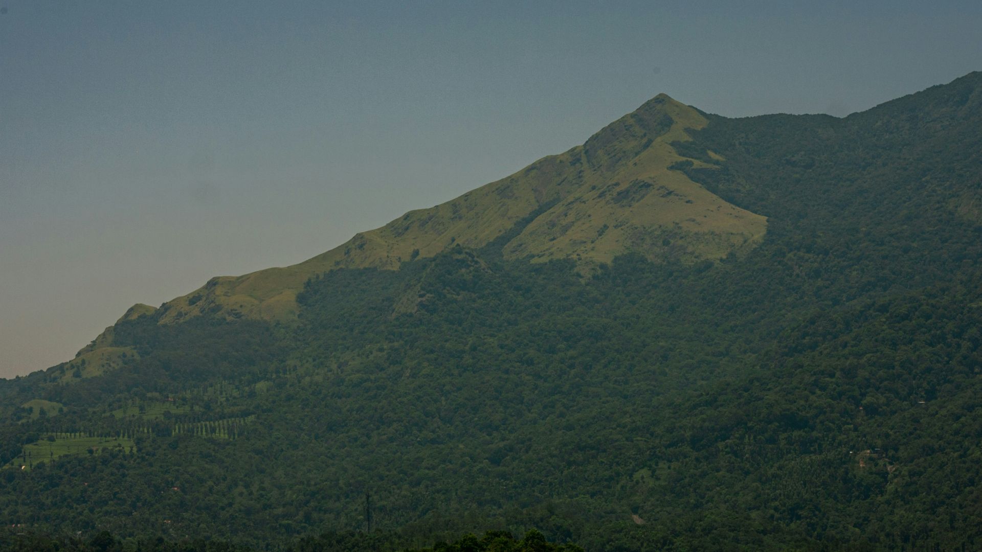 Mountains covered in lush green vegetation stand tall.