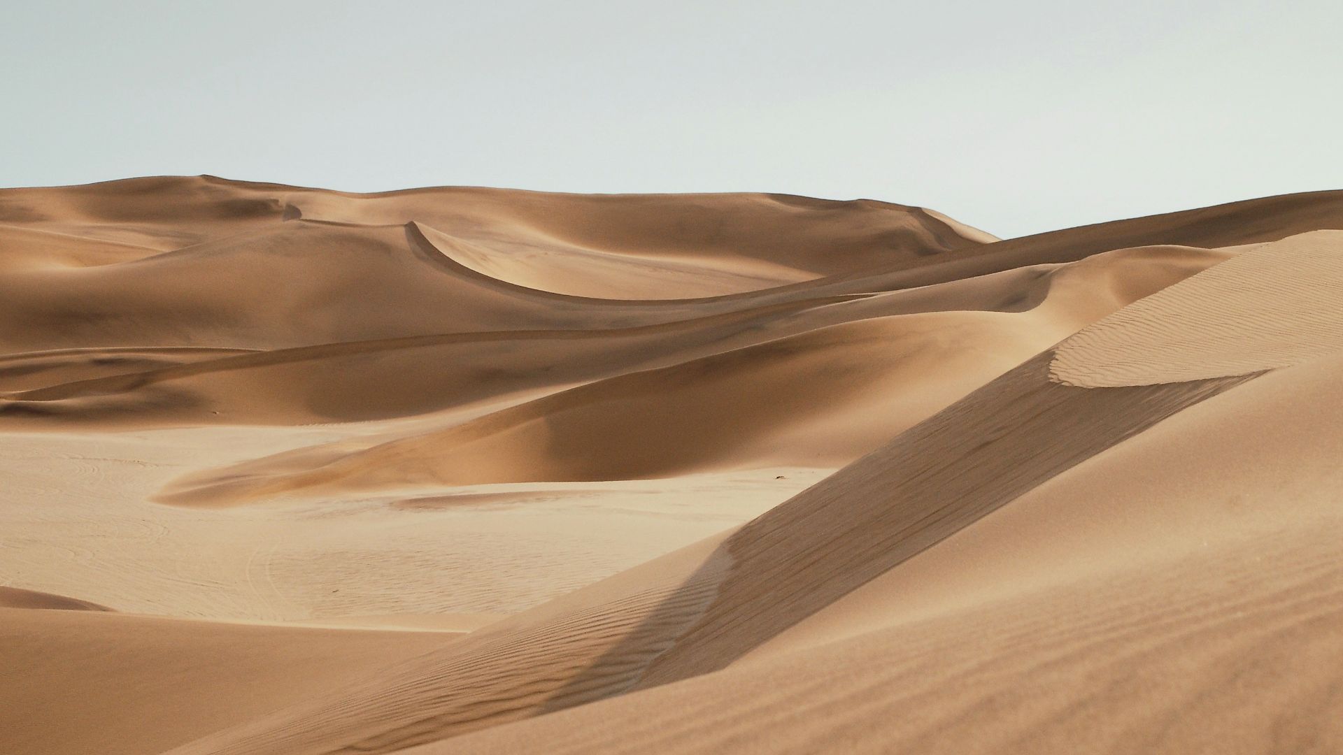 desert under clear blue sky during daytime