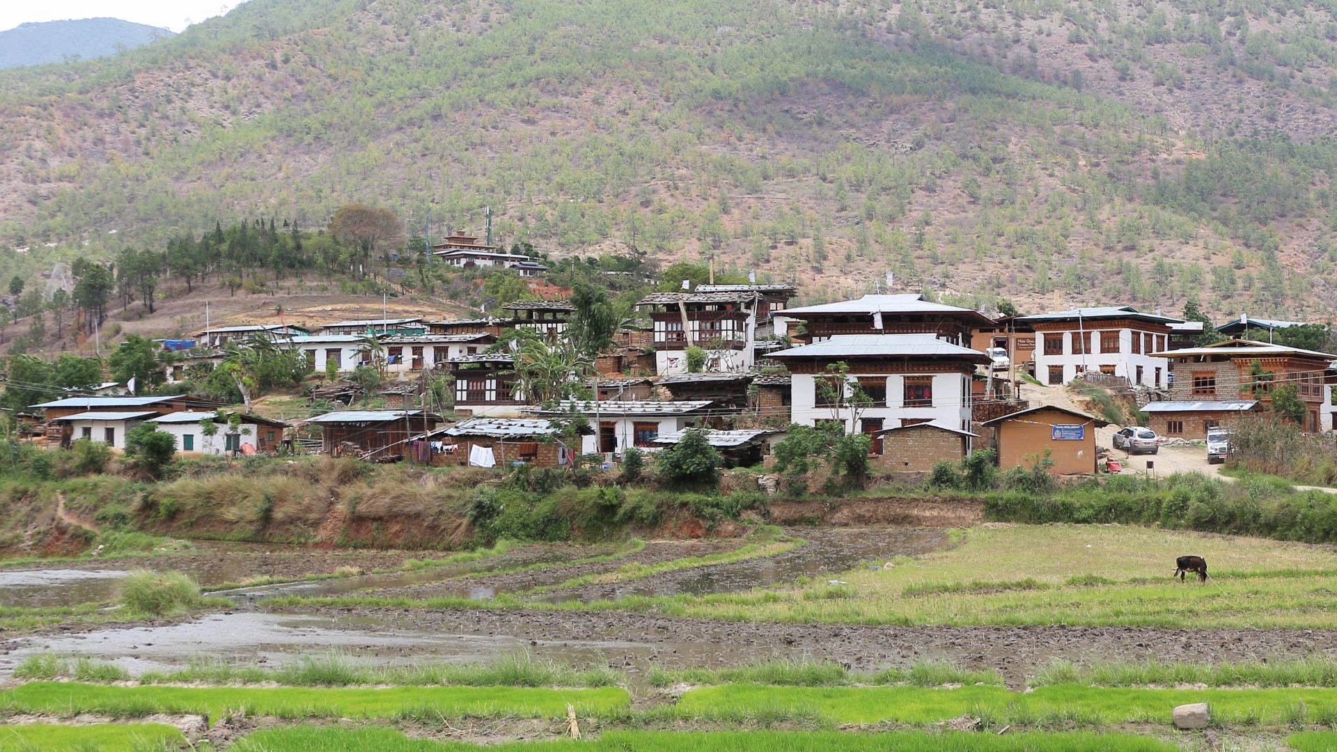 File:Yowakha, Bhutan 01.jpg