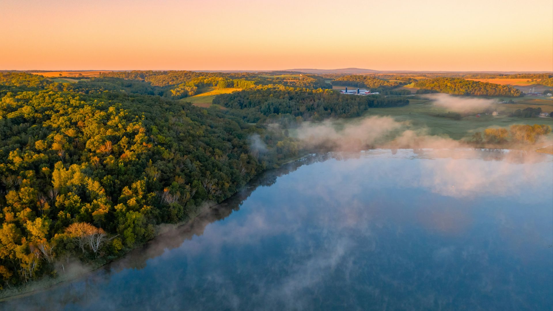 green trees near body of water during daytime