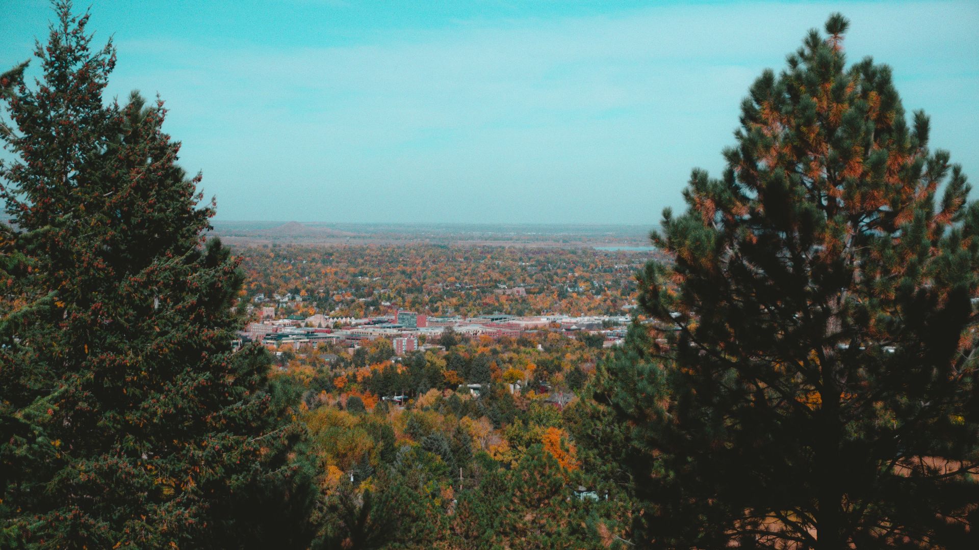 A view of a city through some trees