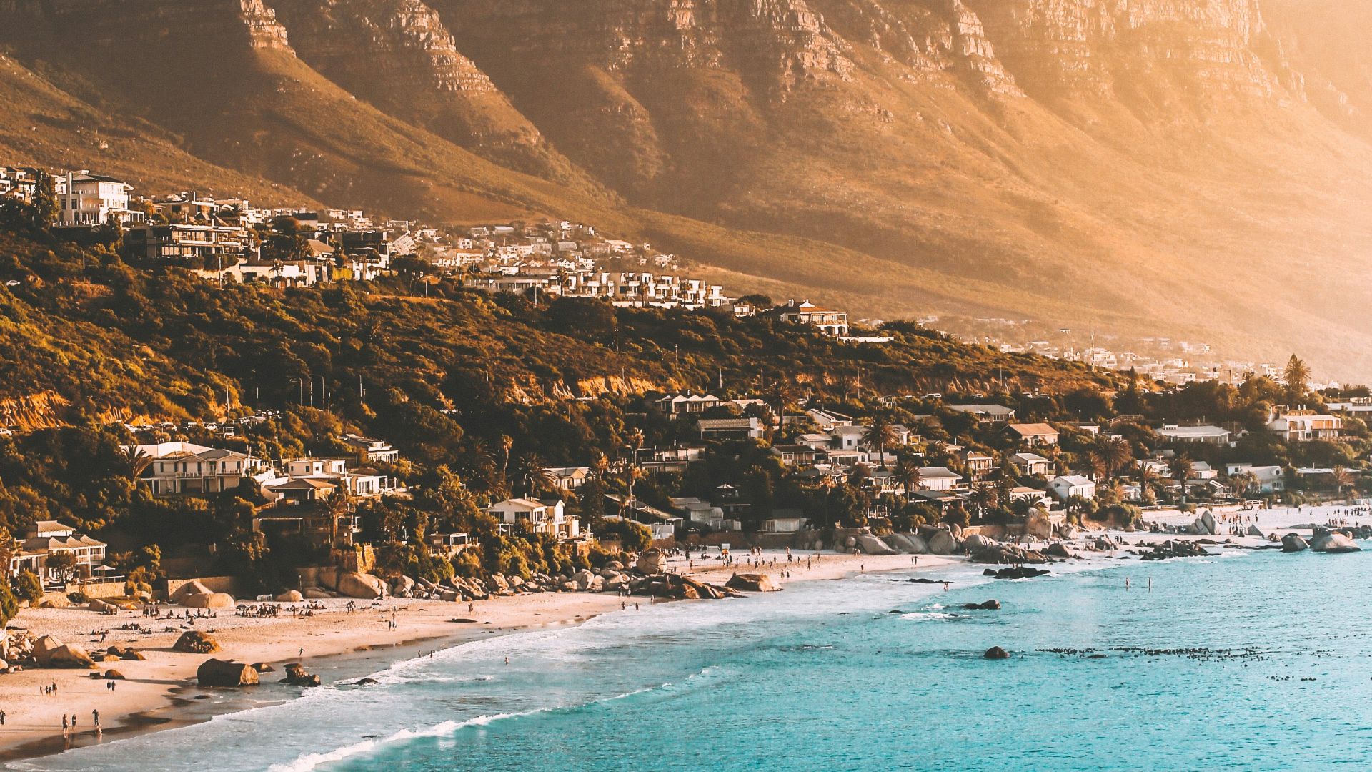 people on beach shore