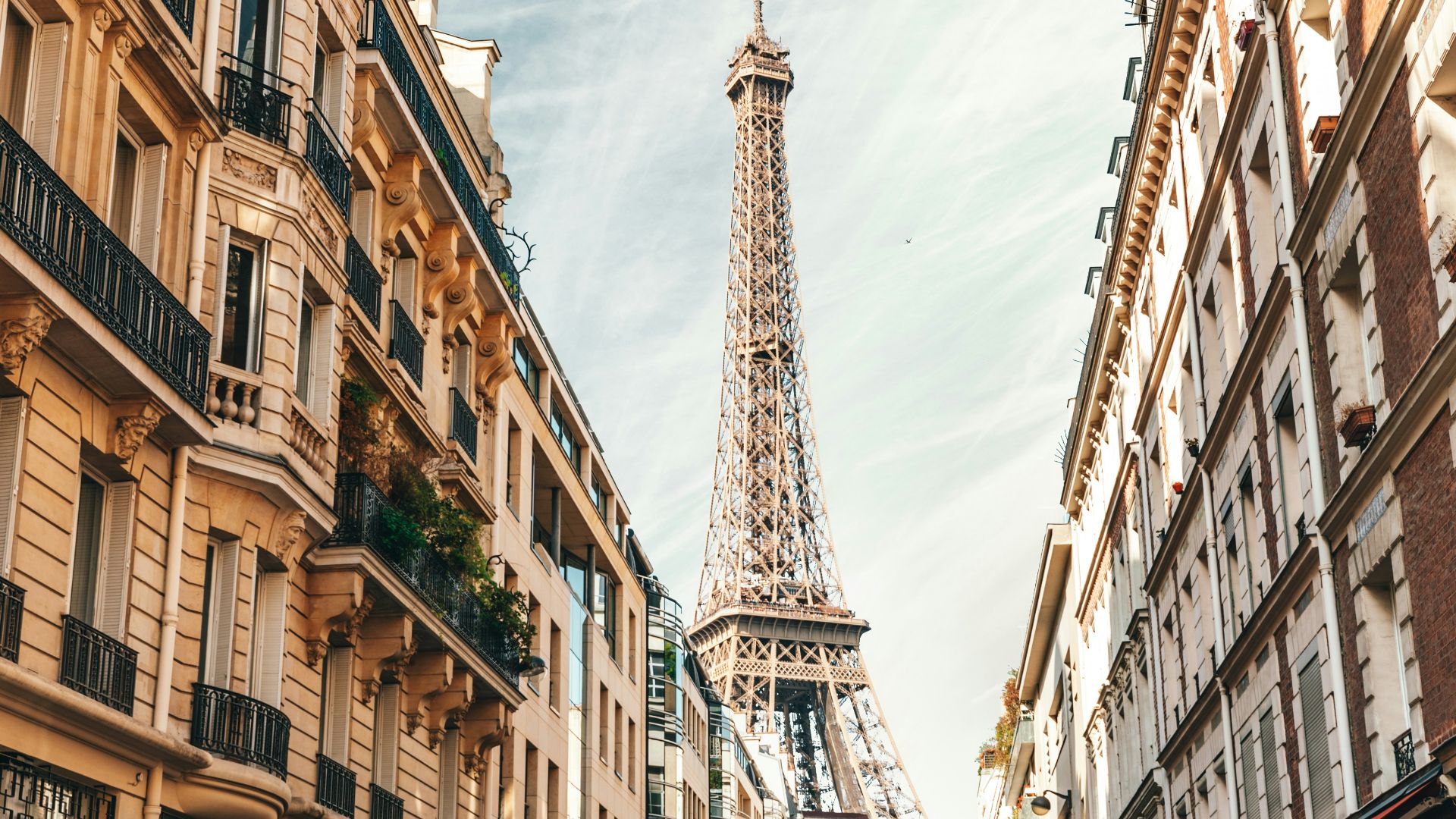 different vehicles parking near building viewing Eiffel Tower in Paris under white skies during daytime