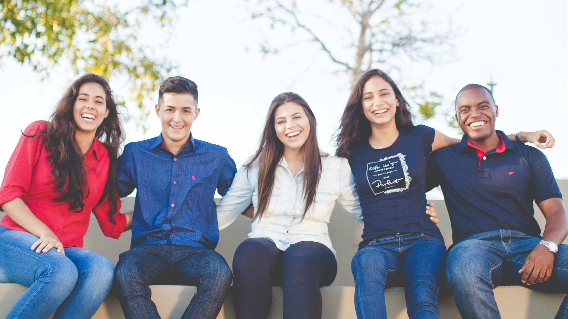 group of people sitting on bench near trees duting daytime