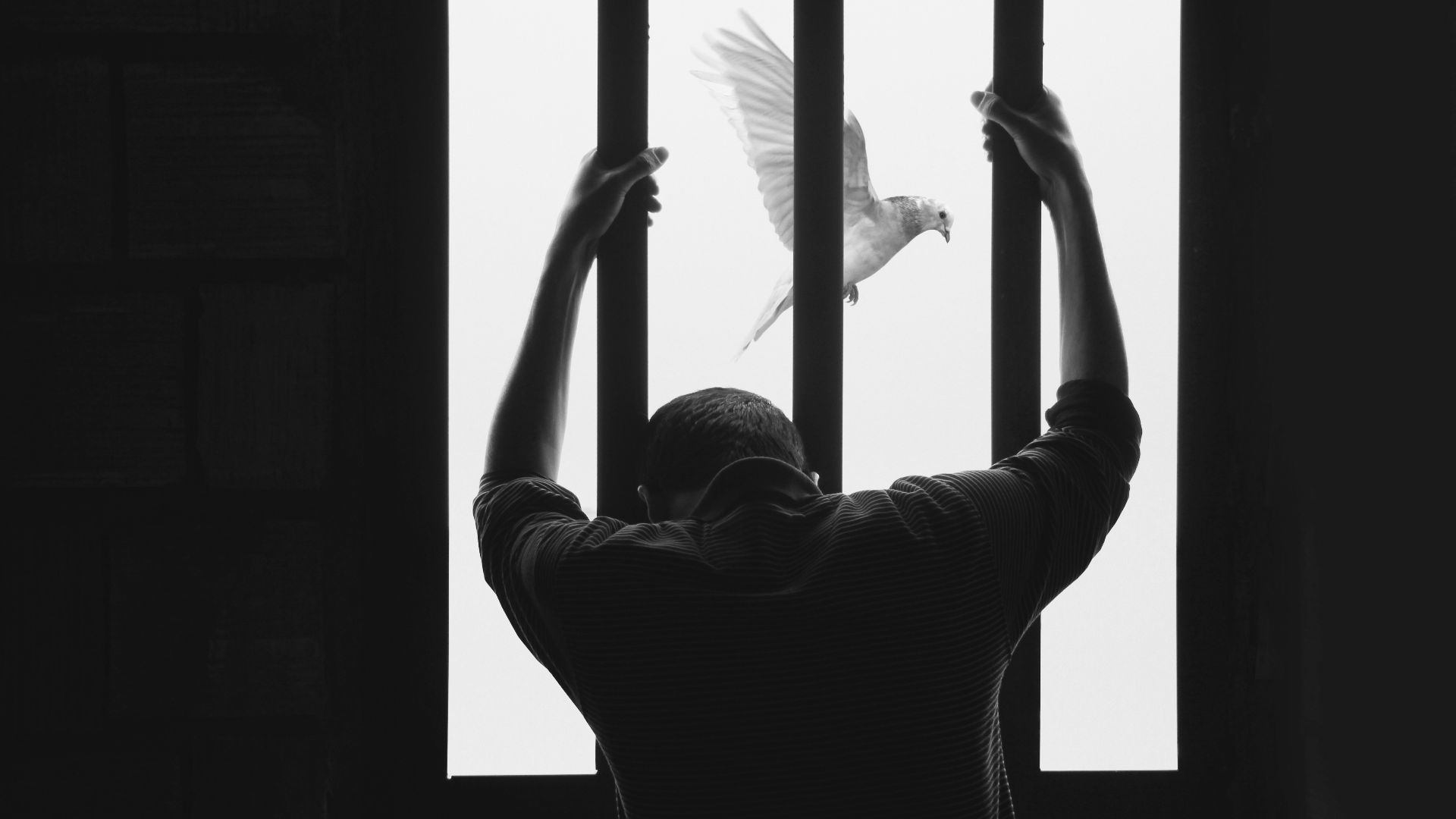 man in black long sleeve shirt raising his right hand