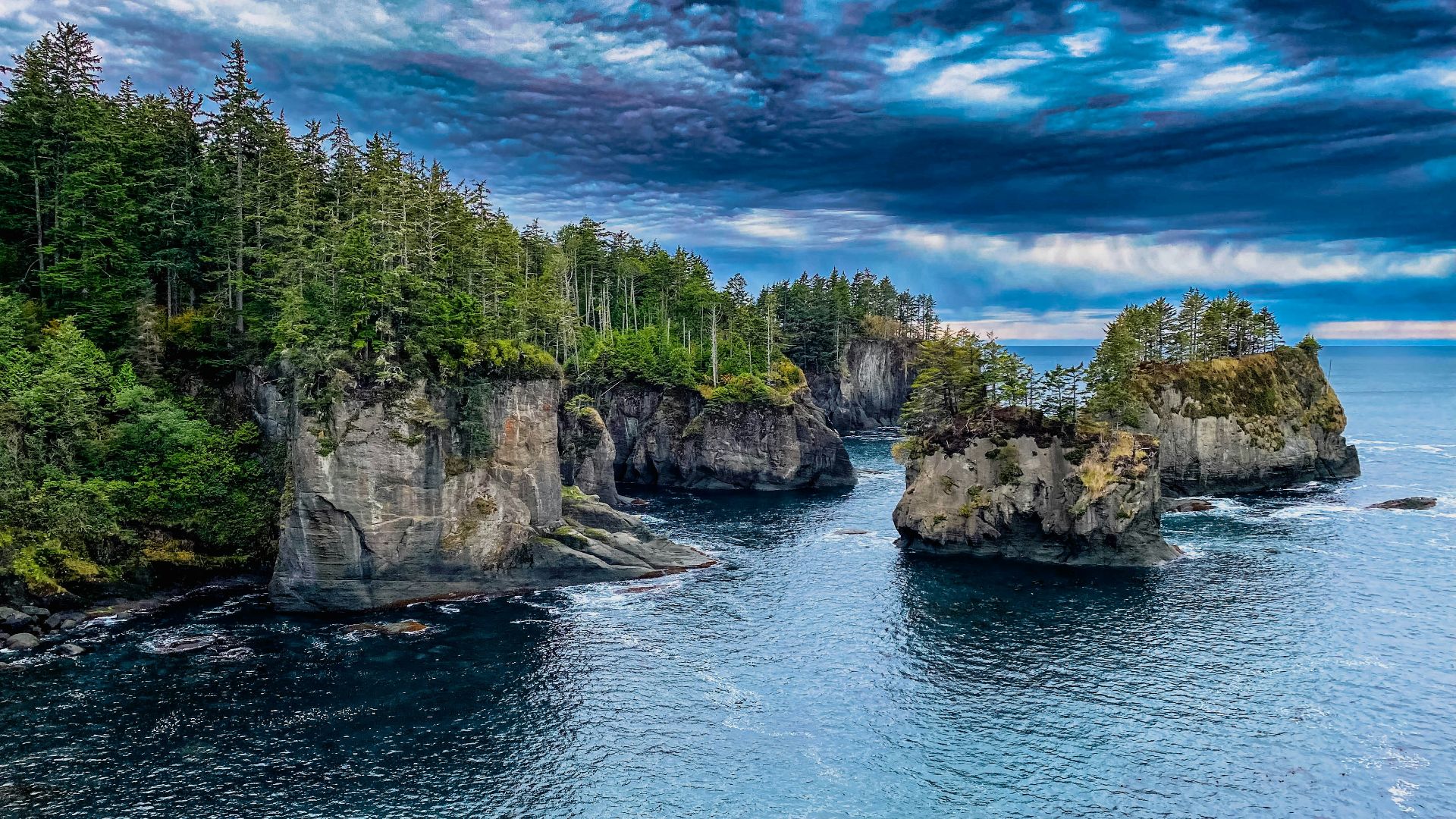 a large body of water surrounded by trees