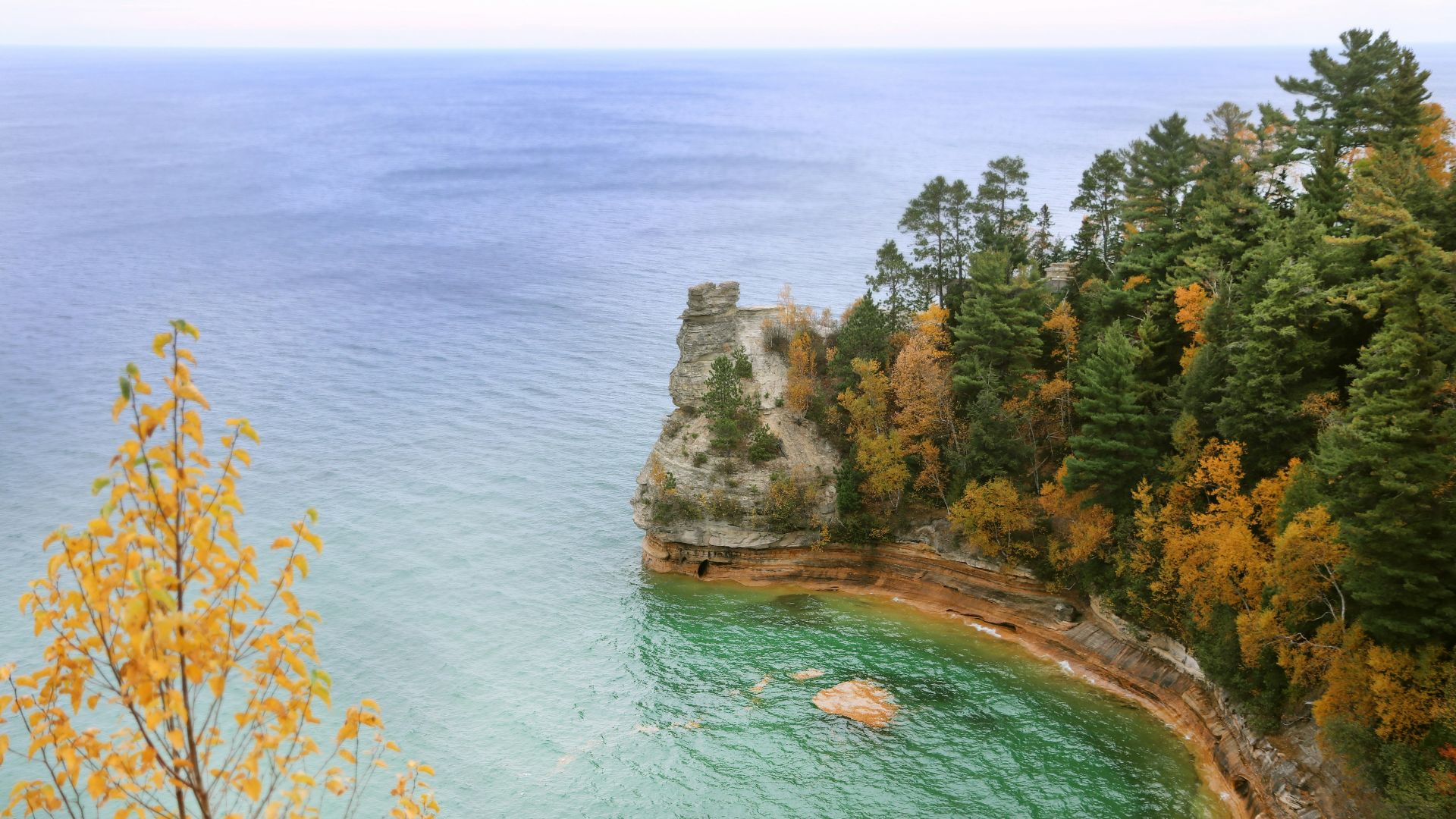 green and brown trees beside body of water during daytime