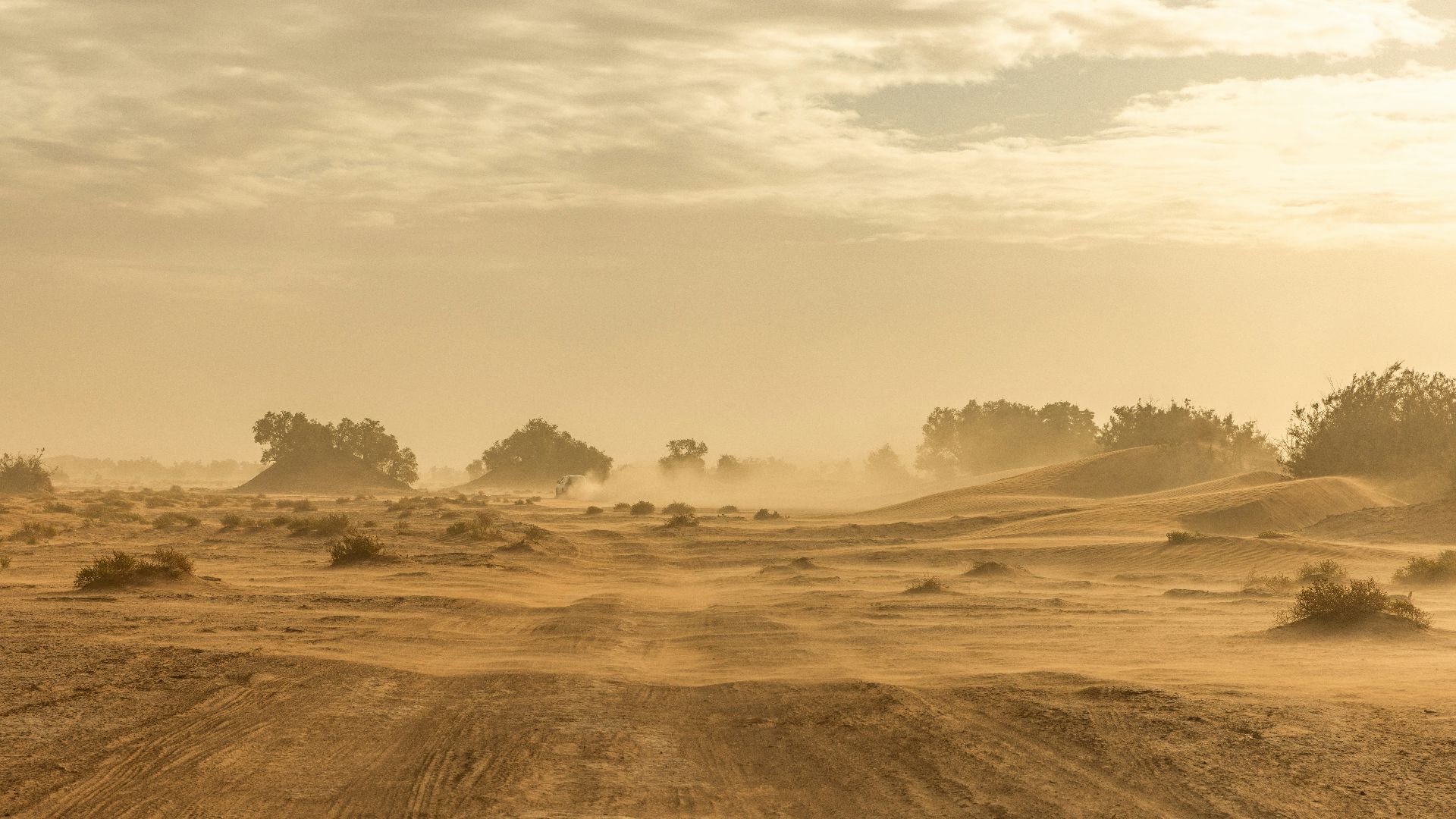 a dirt road in the middle of a desert