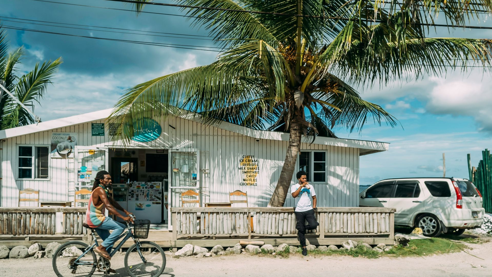 man in black shirt riding bicycle near palm tree during daytime
