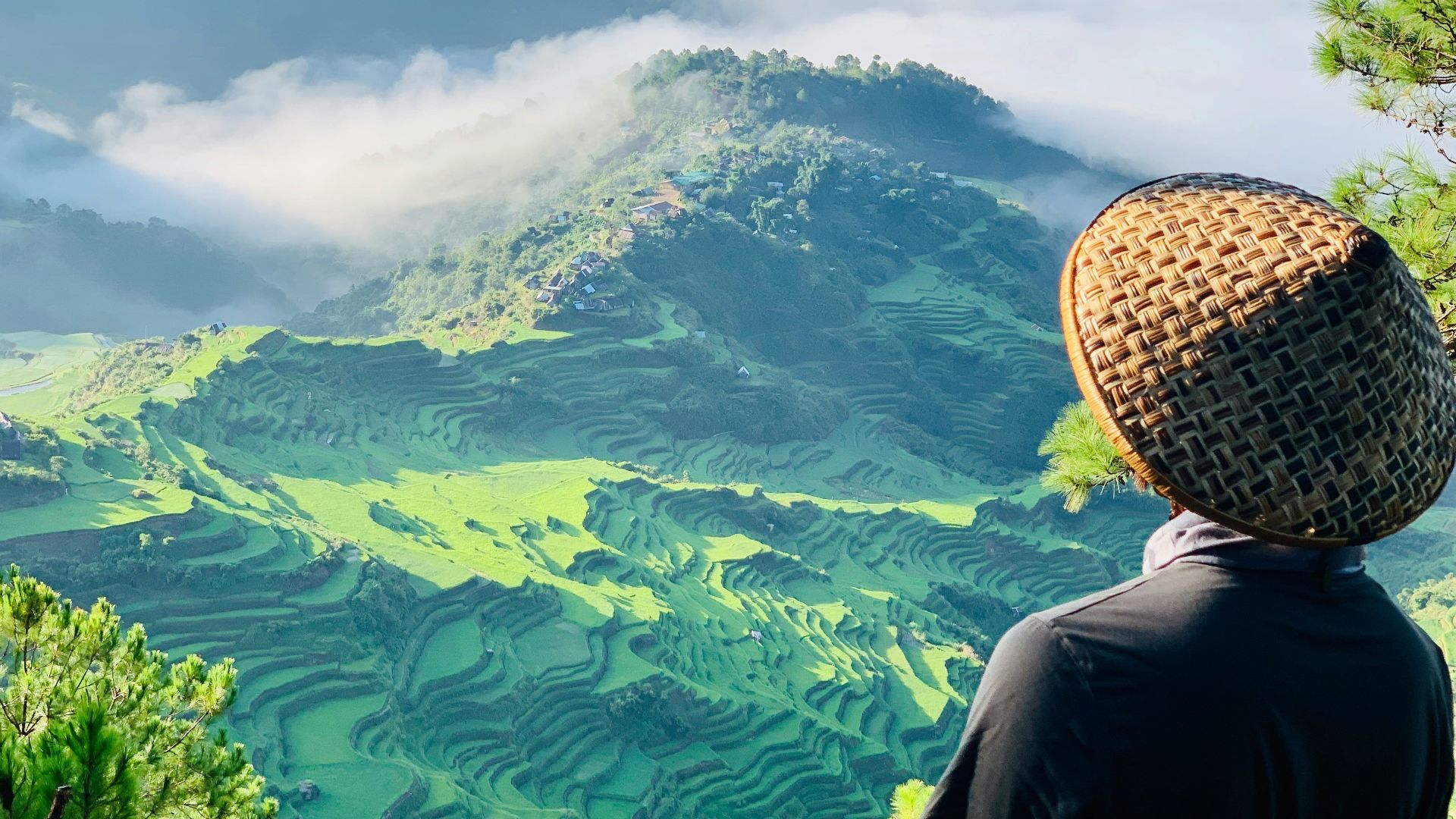 person in black long sleeve shirt and brown hat standing on green grass field during daytime