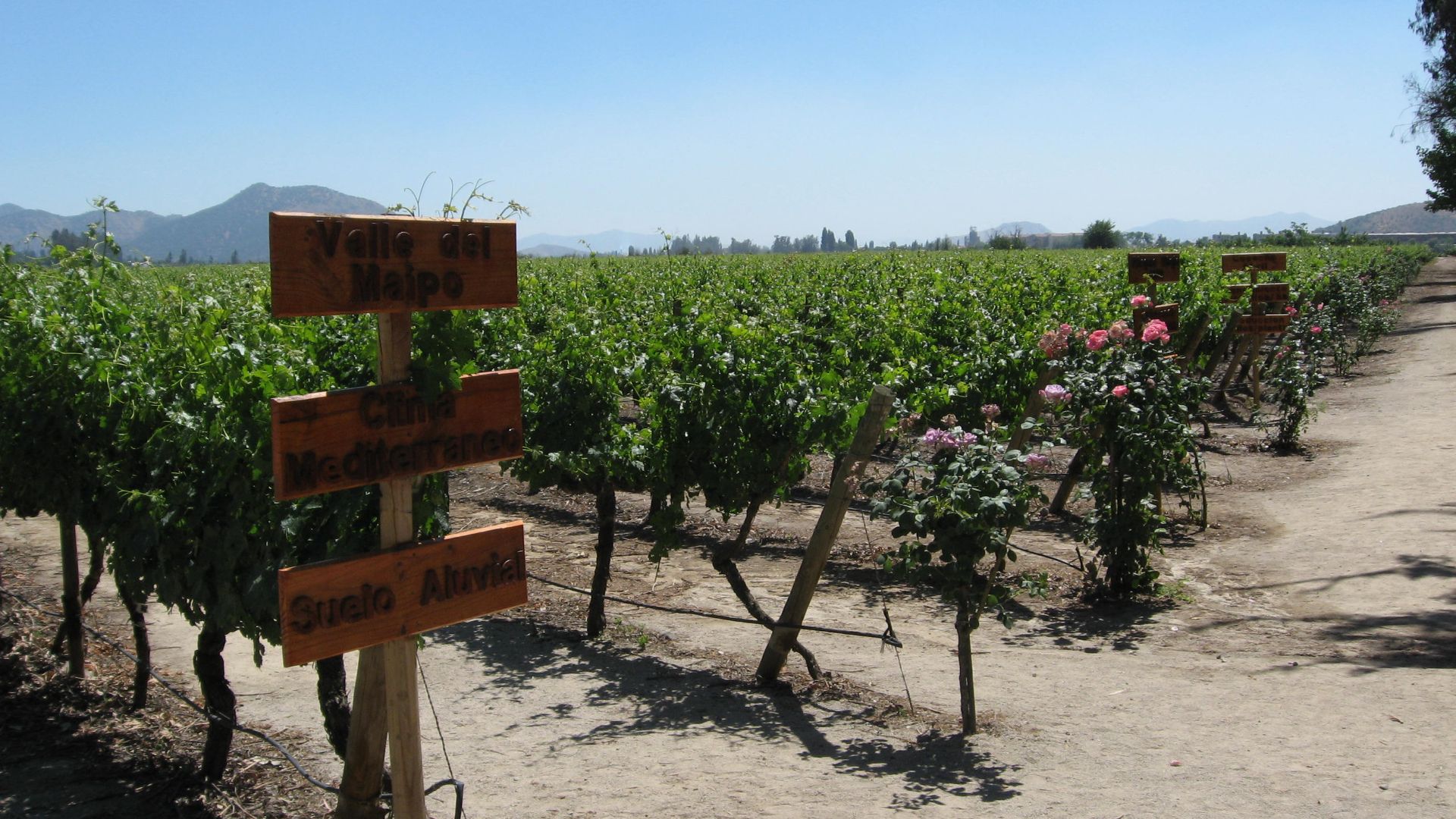 File:Concha Y Toro.jpg