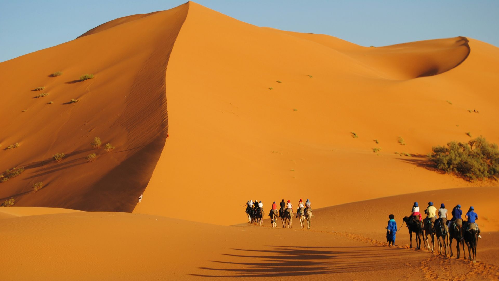 a group of people riding horses across a desert