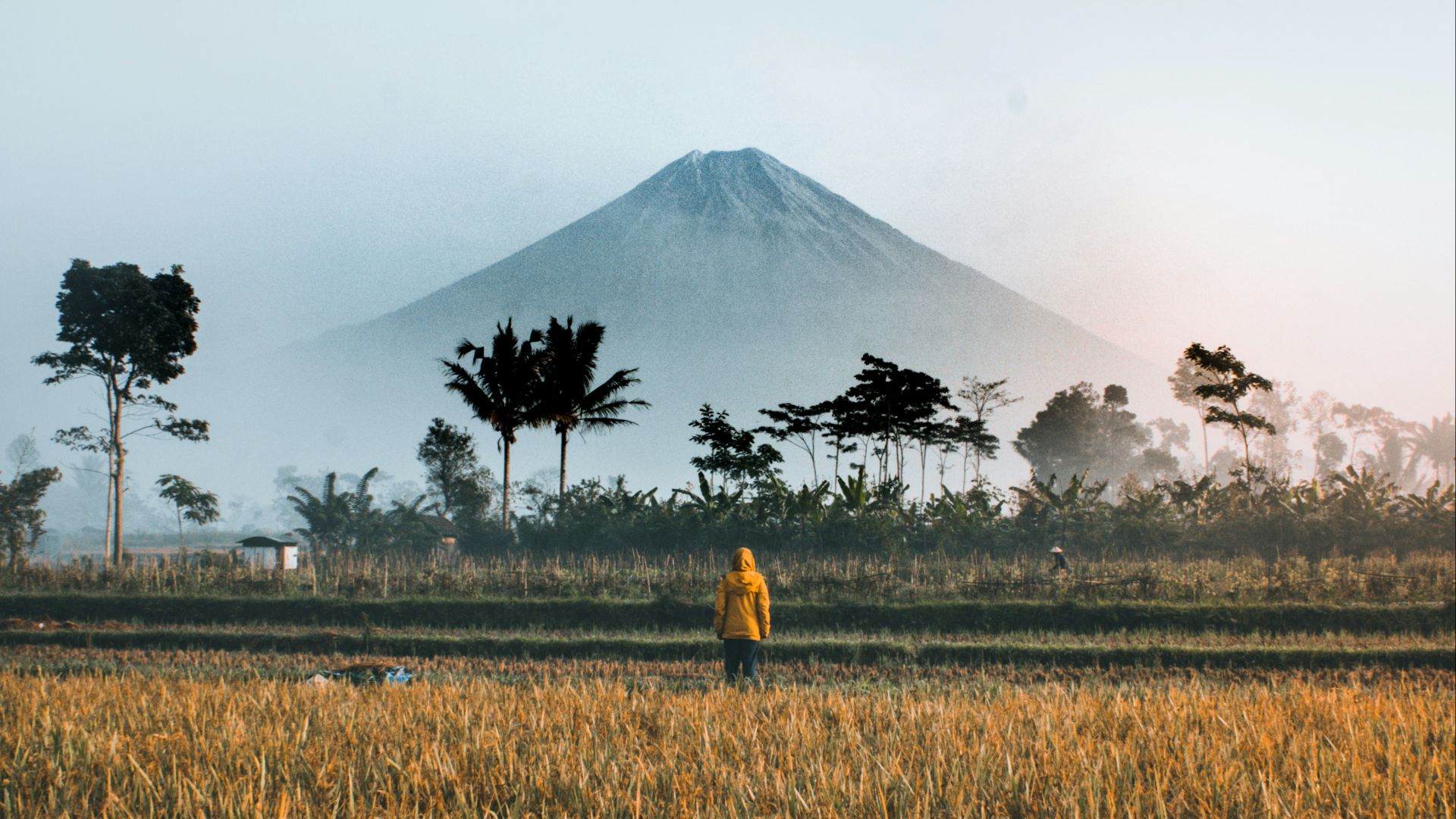 person standing on green grass field
