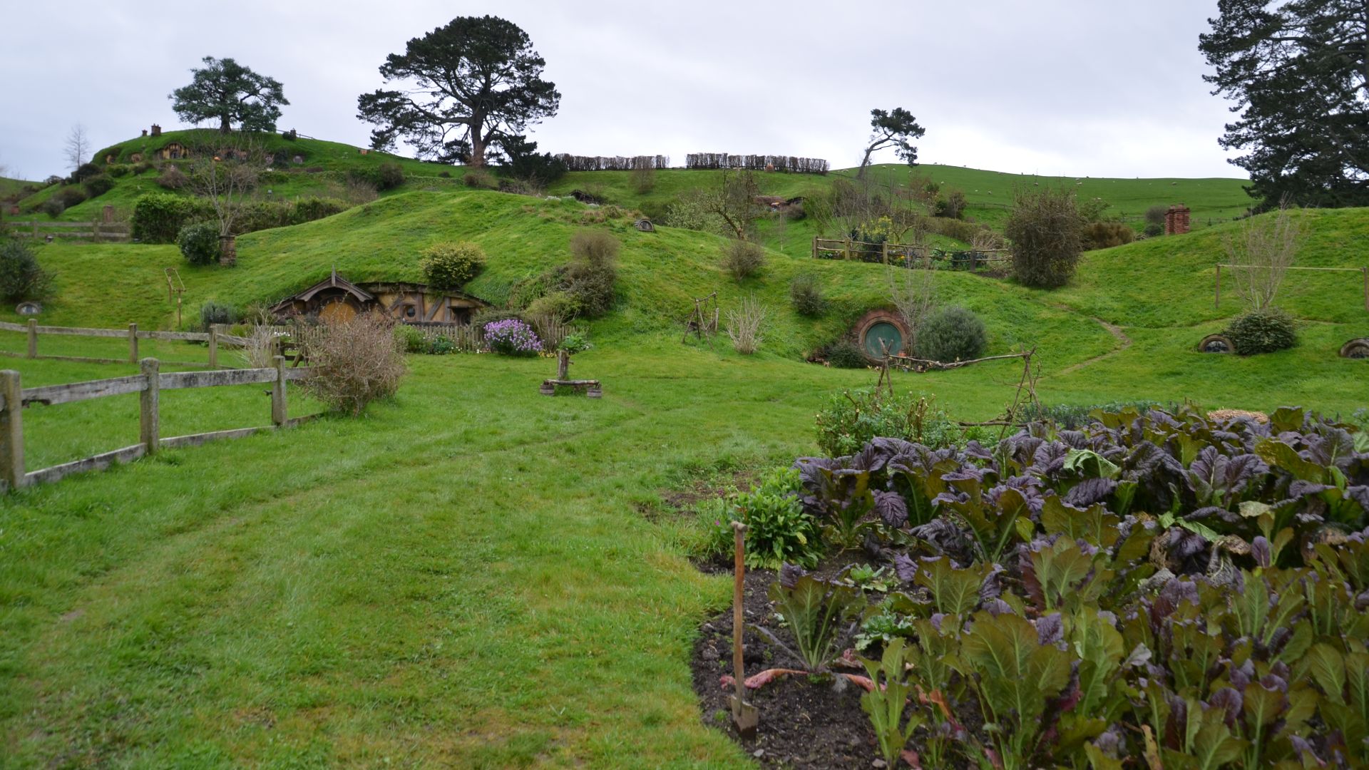 File:Garden and Hobbit Holes --Hobbiton Movie Set, Matamata, New Zealand 2016 (50797357806).jpg