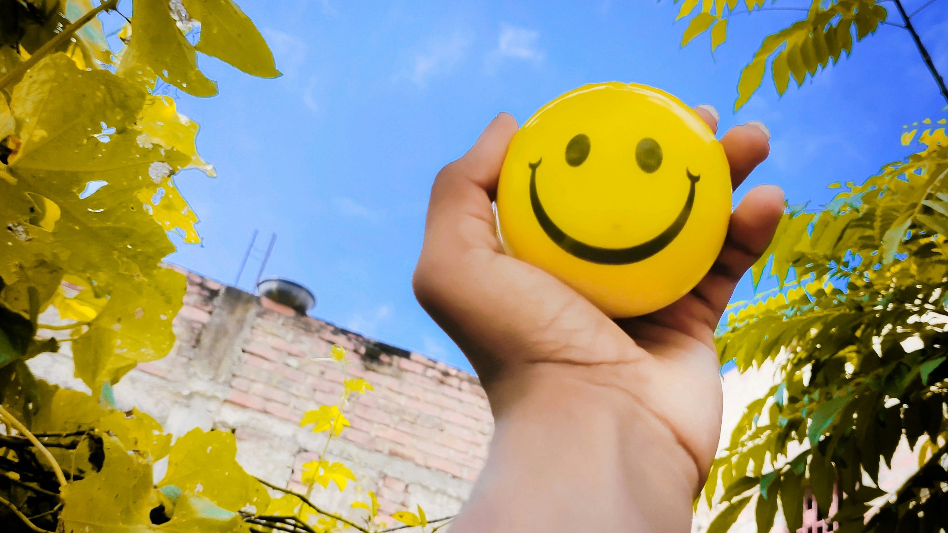 a hand holding a yellow smiley face ball