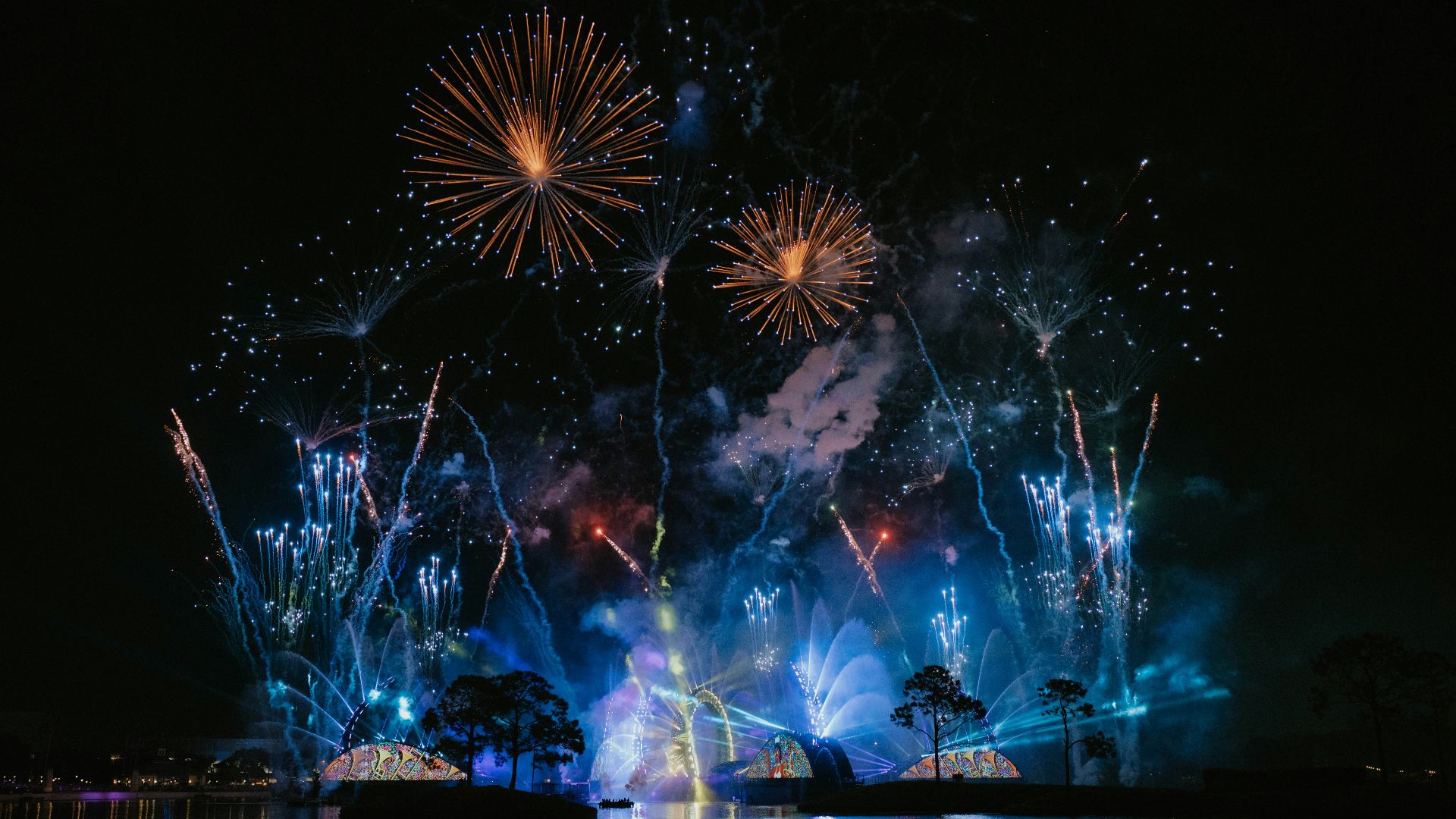 fireworks in the sky