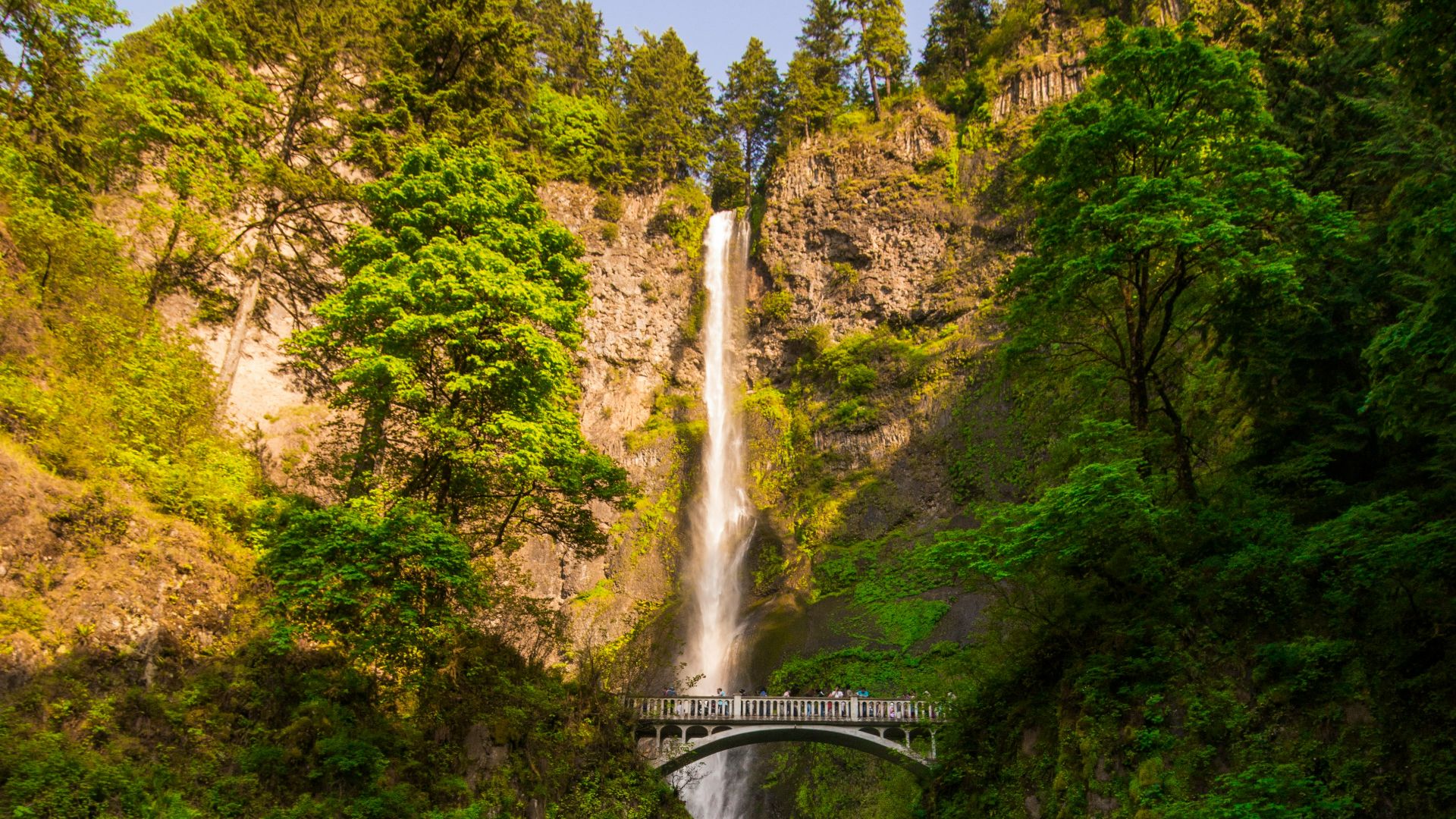 waterfalls in the middle of the forest