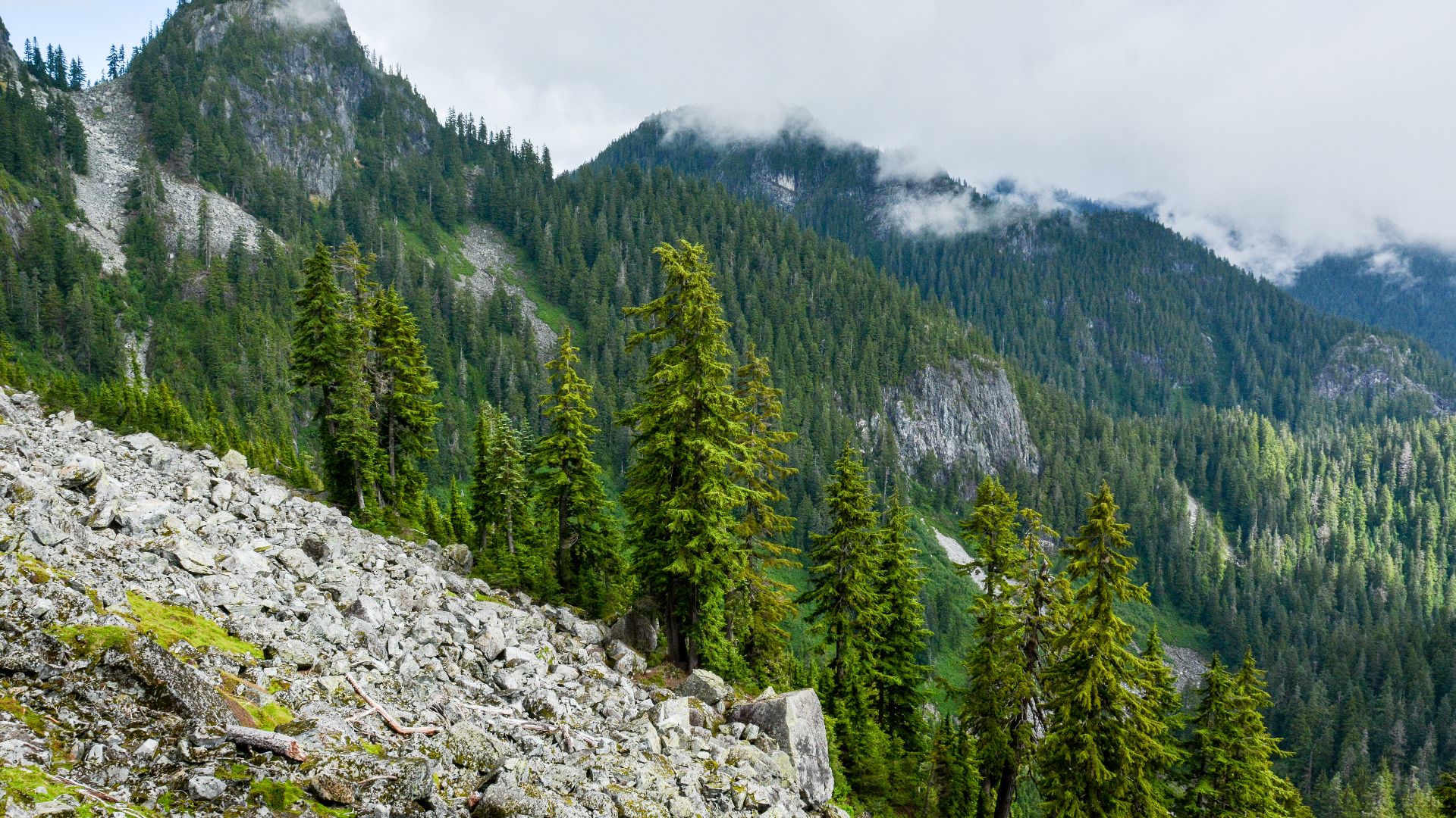 File:Runner Peak and Mount Elsay.jpg