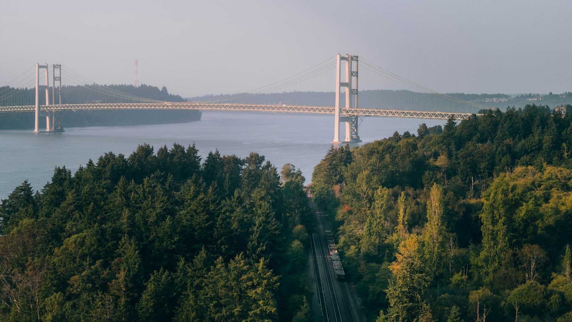 Suspension bridge towers over a forest and railway.