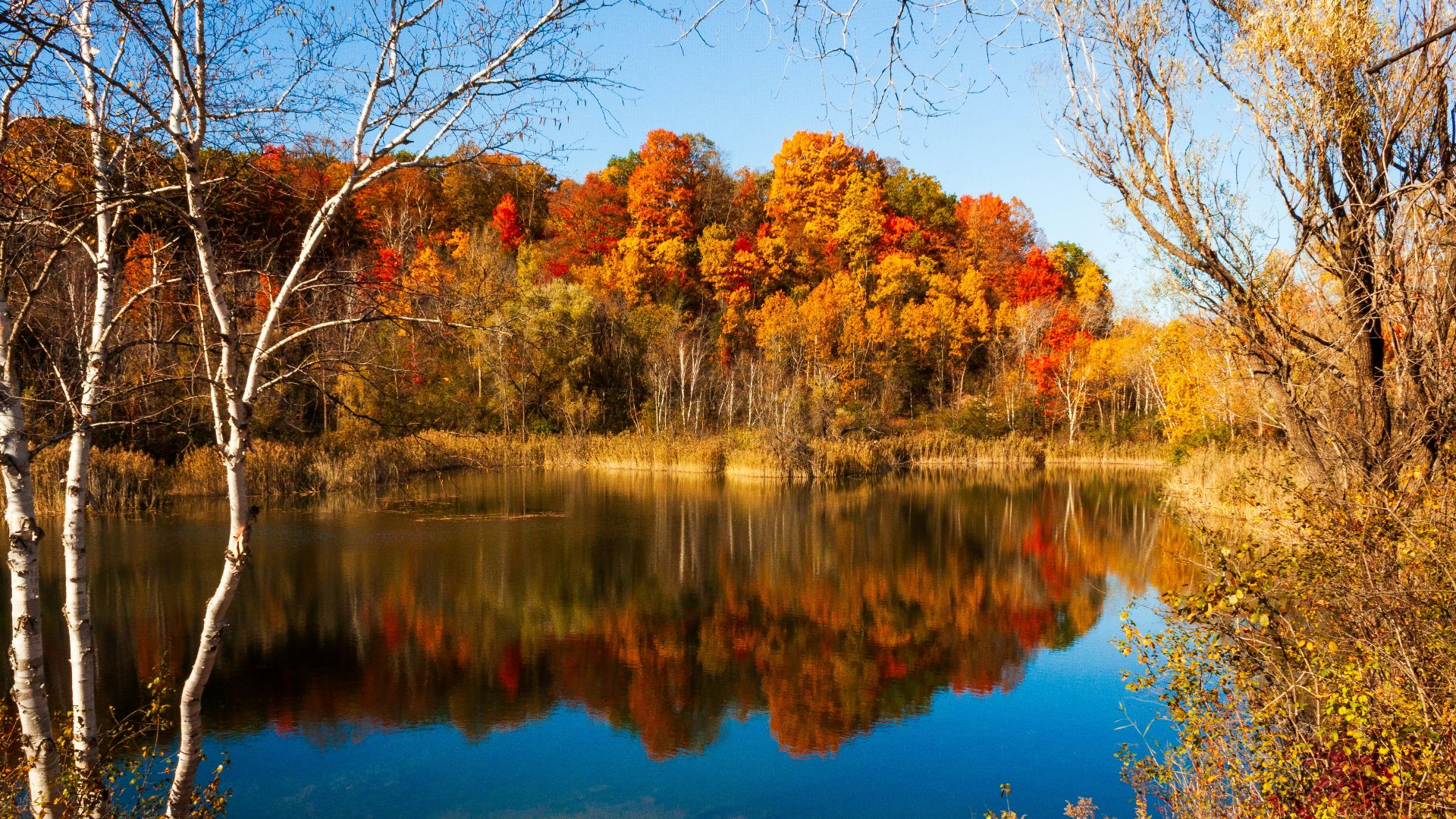 A lake surrounded by trees in the fall