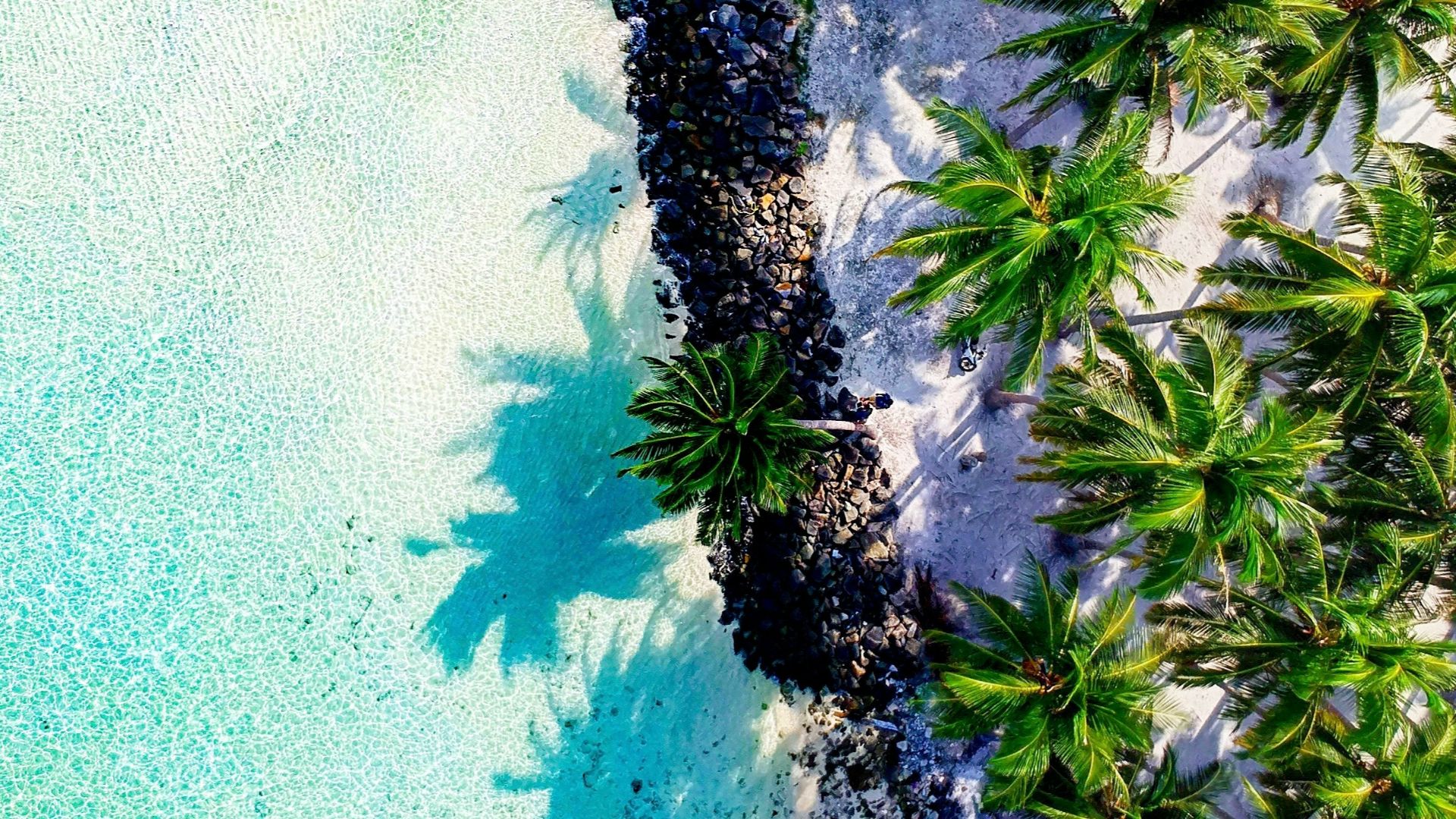 aerial view photography of island