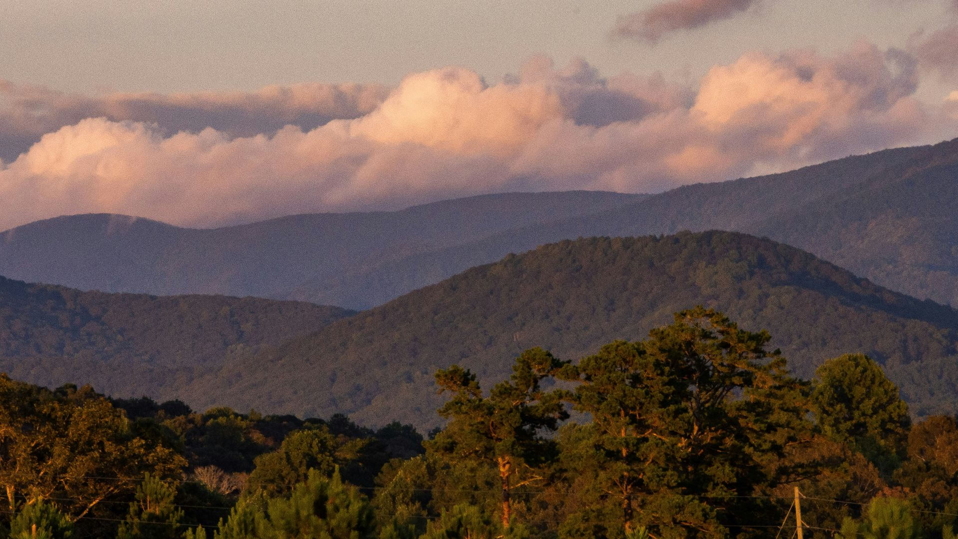 green trees on mountain under white clouds during daytime