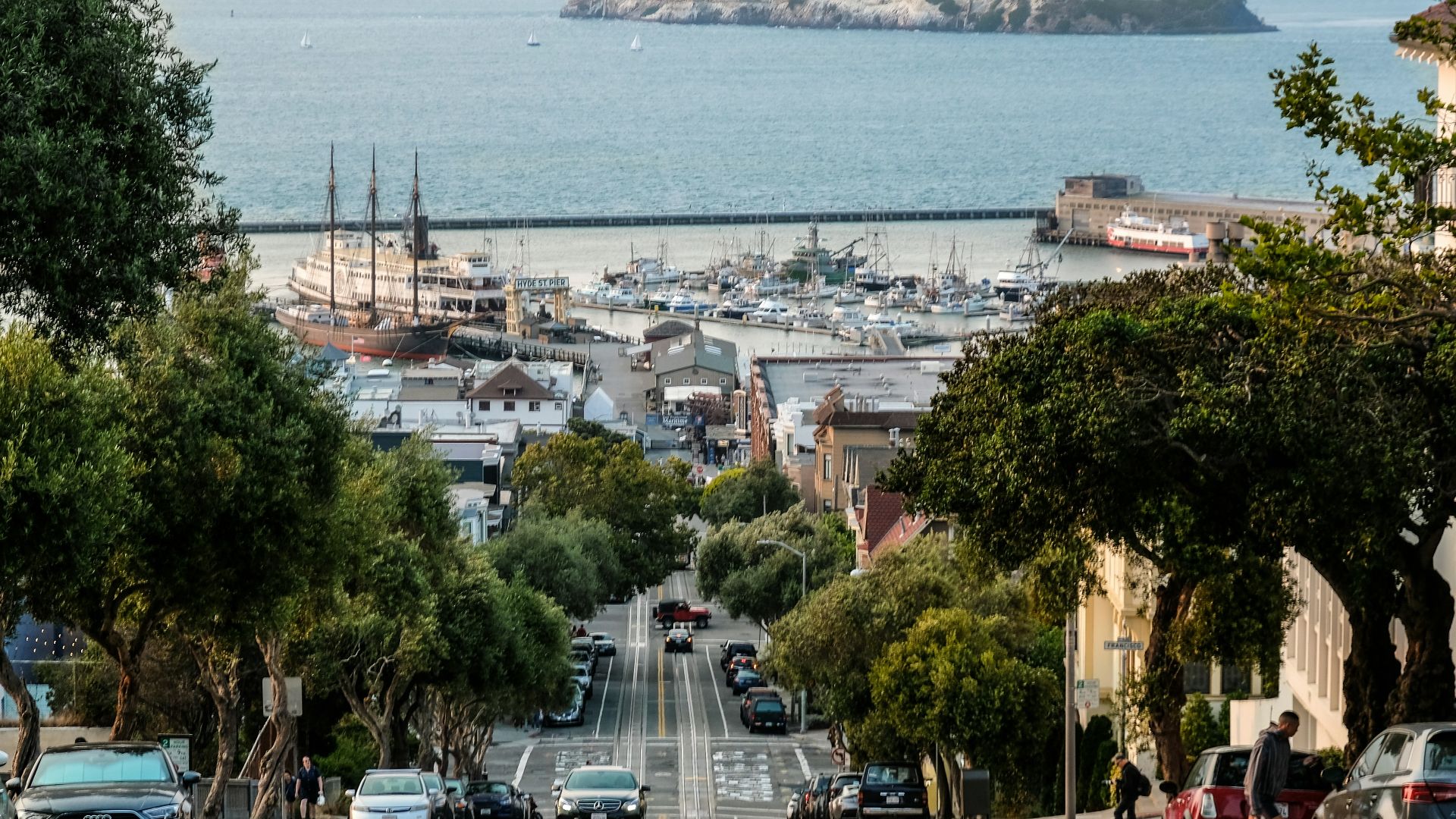 vehicles on road between trees