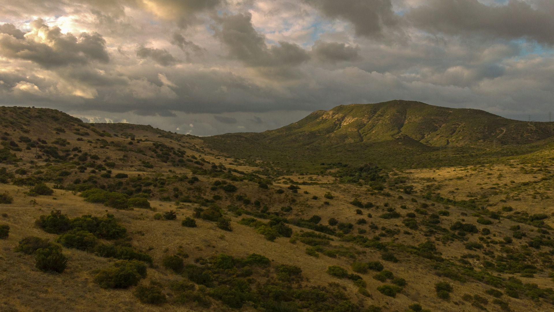 green grass field under cloudy sky during daytime