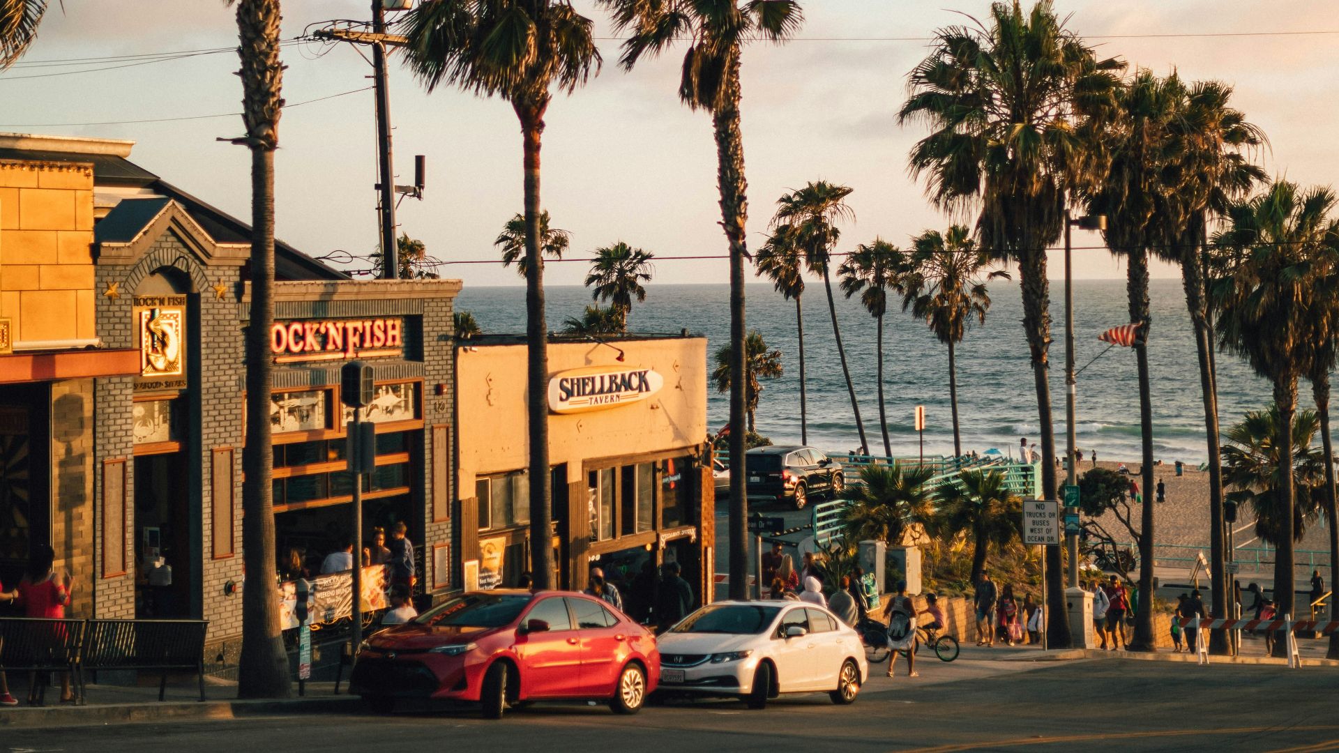 vehicles parked near tree and building