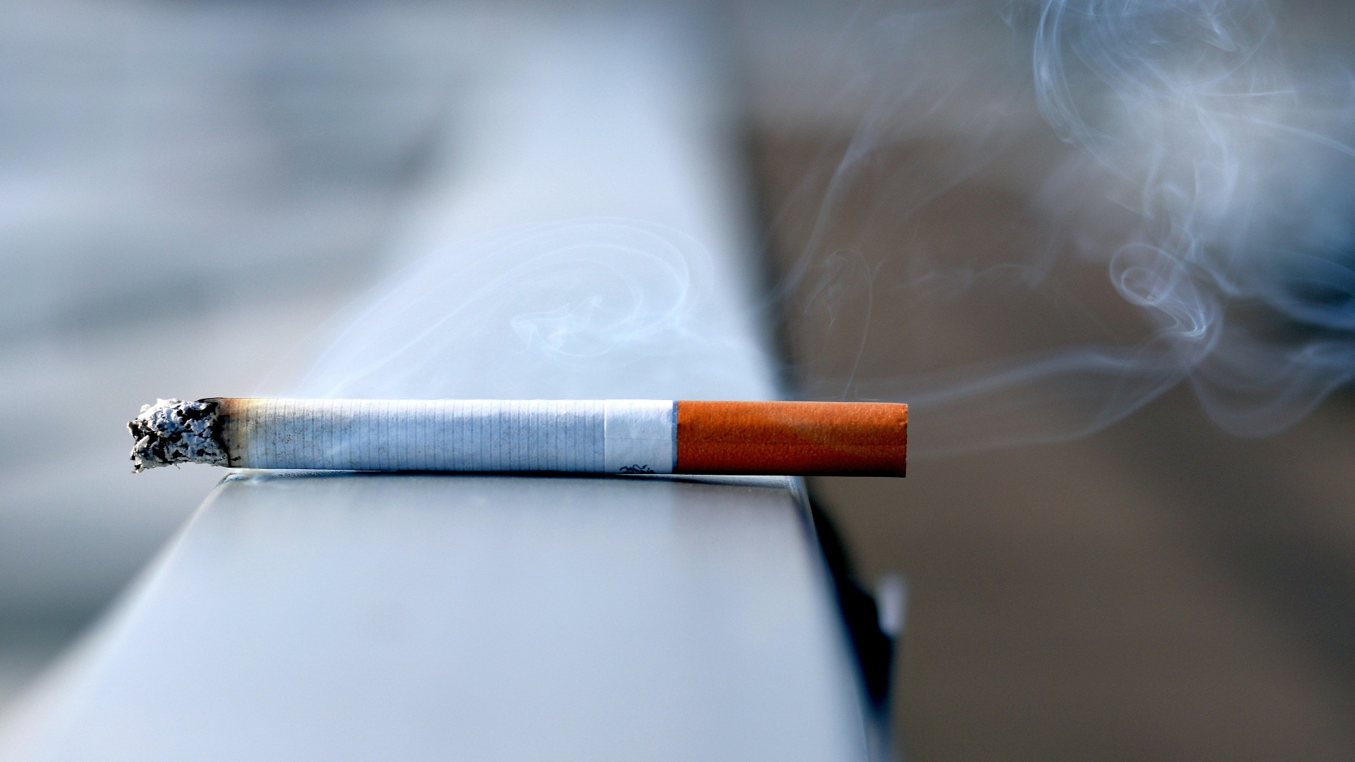 white cigarette stick on white wall