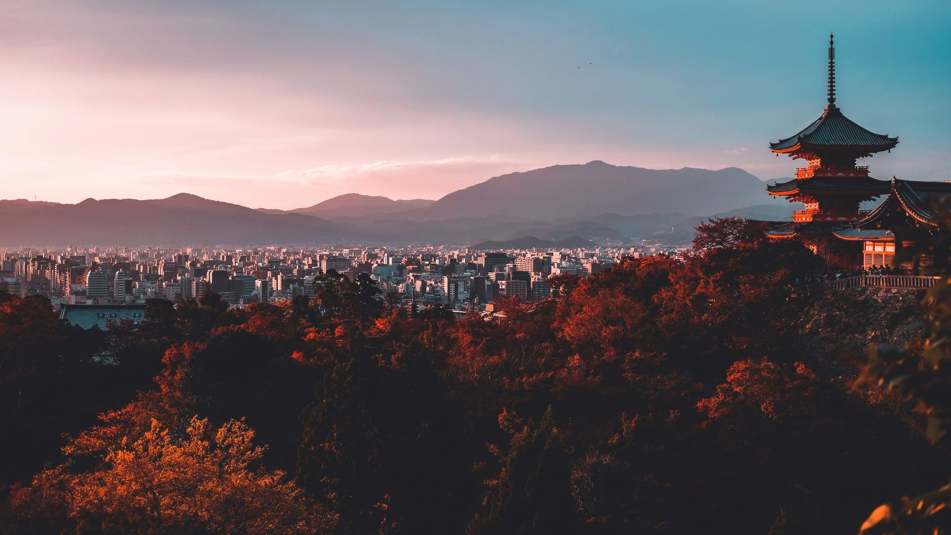 pagoda surrounded by trees