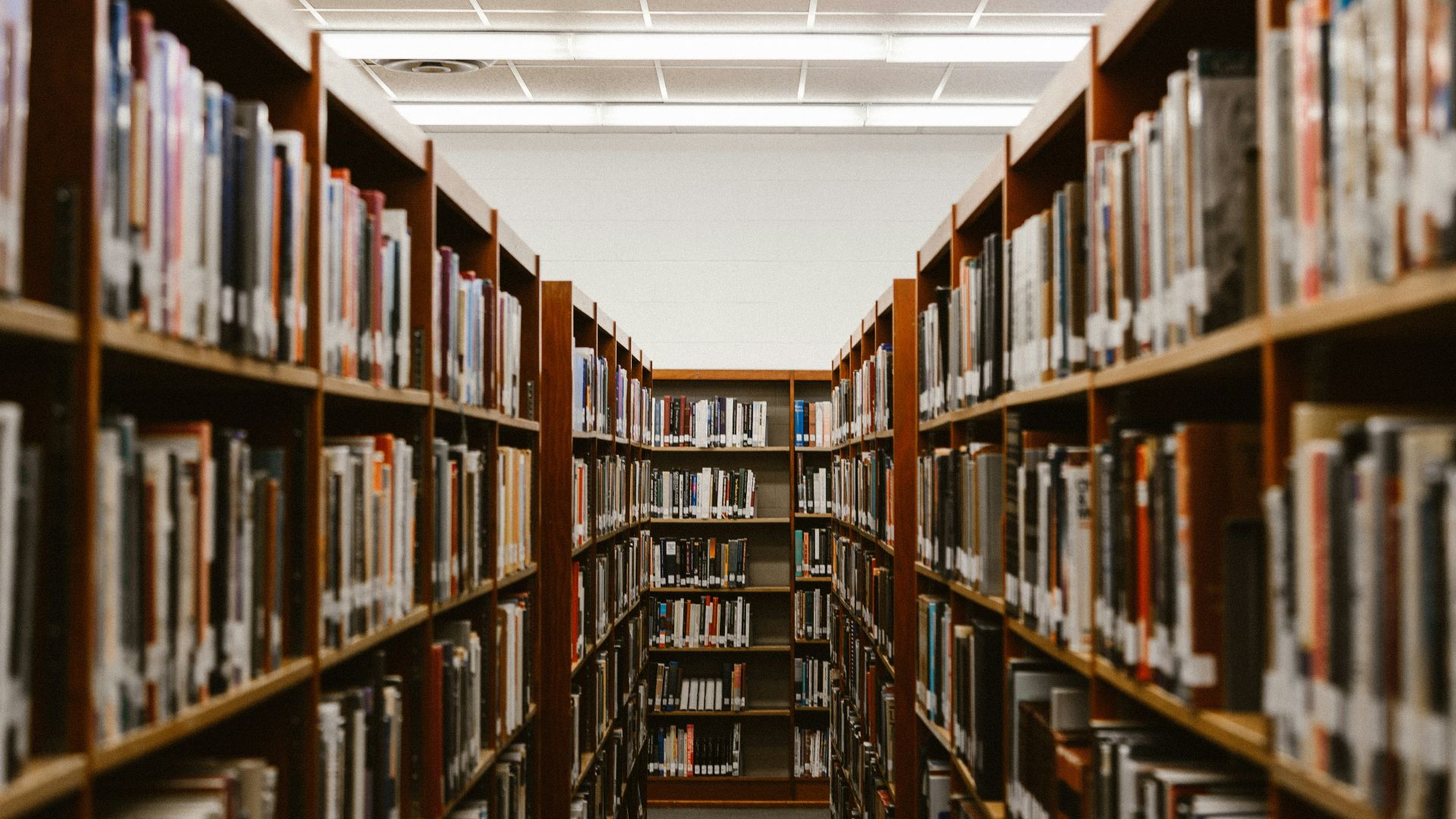 shallow focus photography of bookshelfs