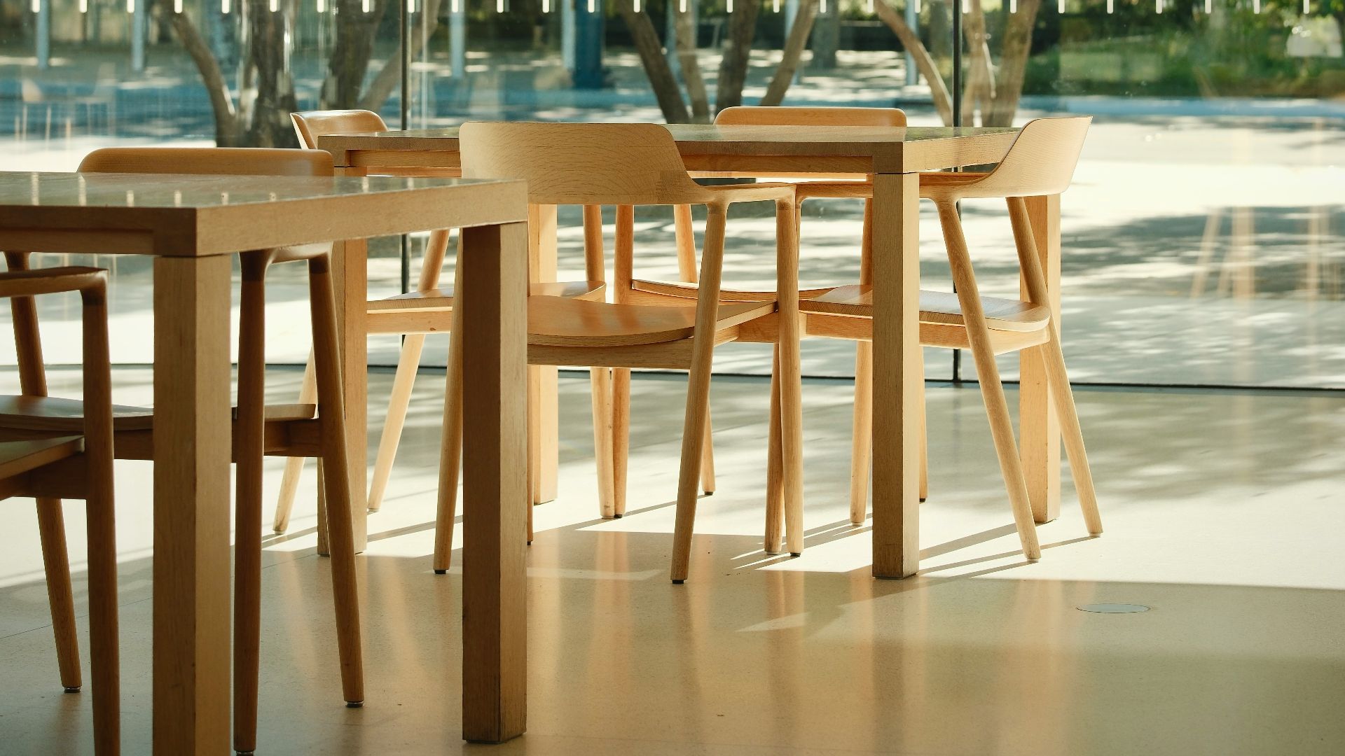 A bright cafe interior with sunny trees outside.