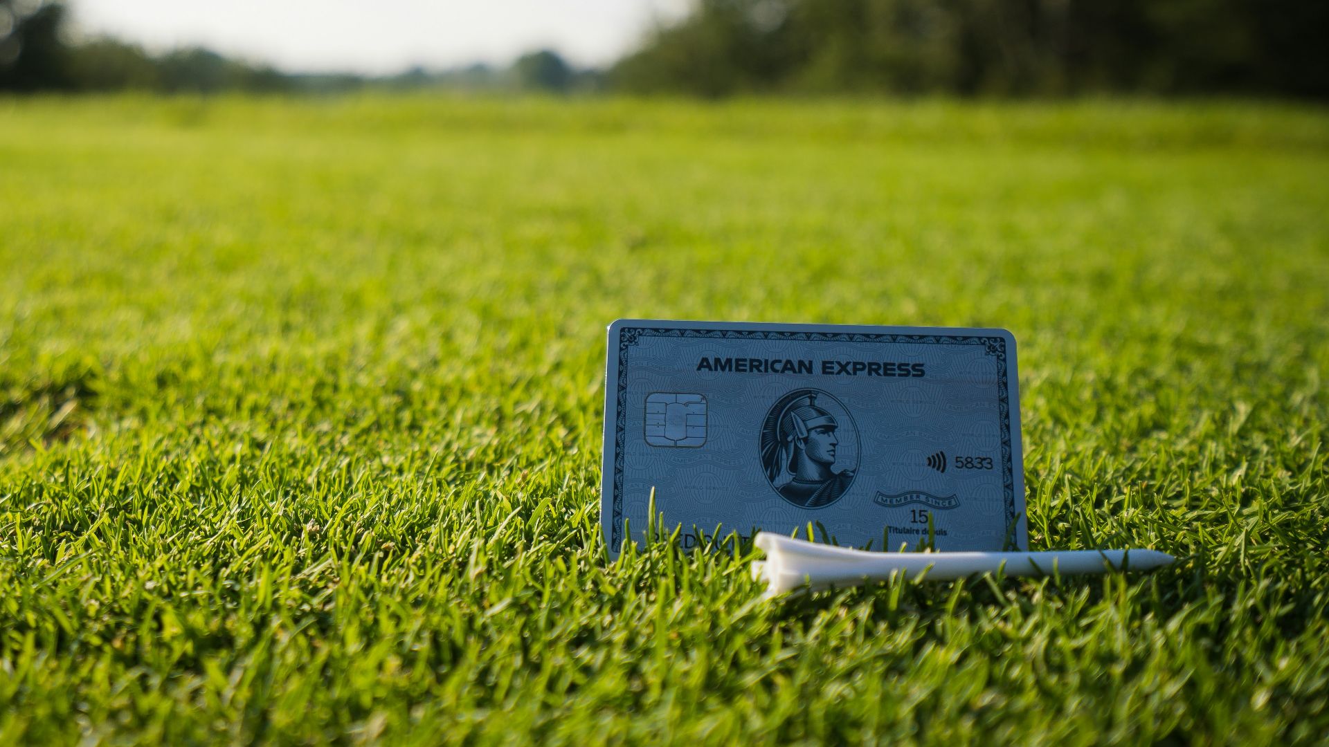 a credit card sitting on top of a lush green field