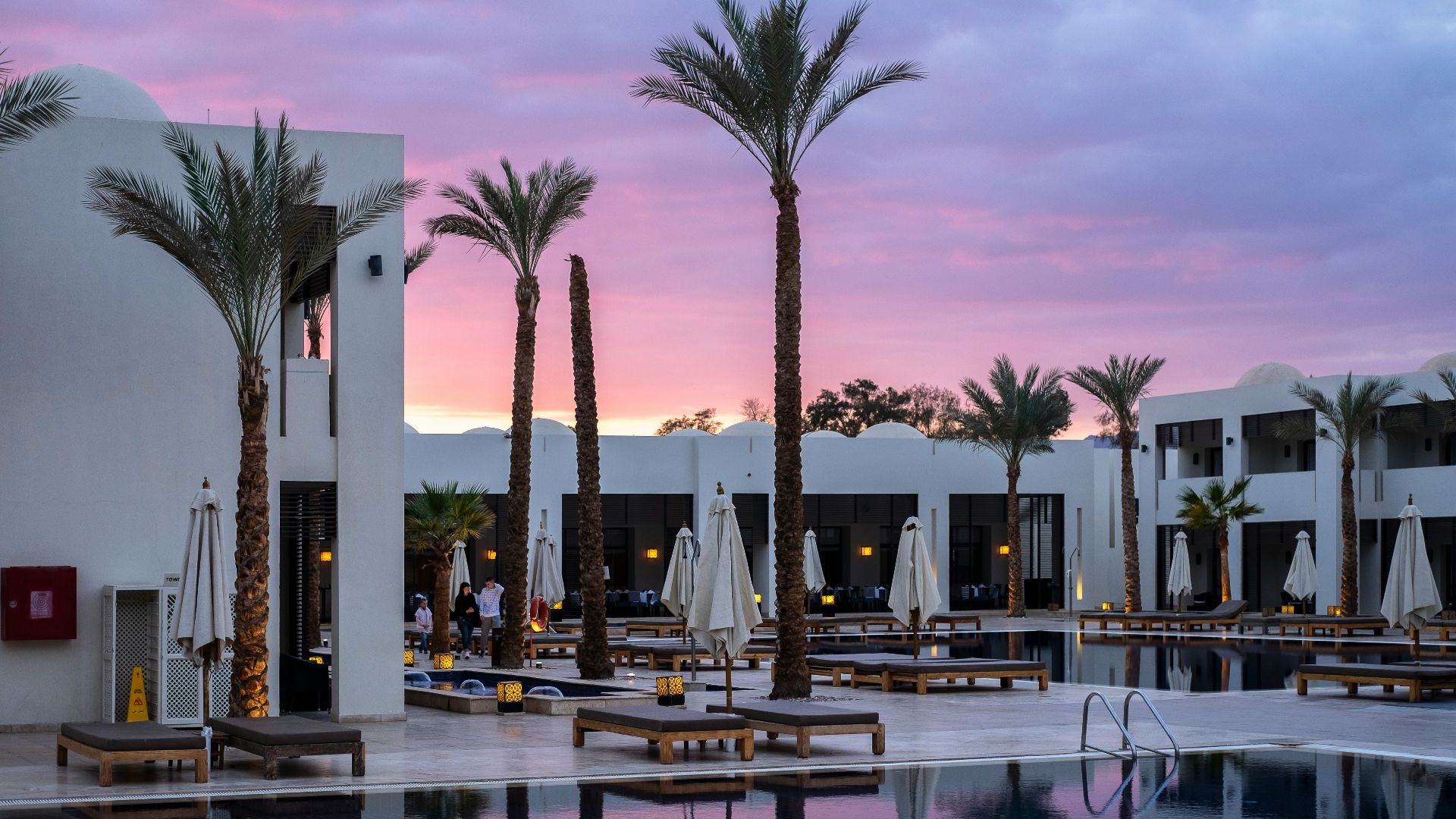 a large swimming pool surrounded by palm trees