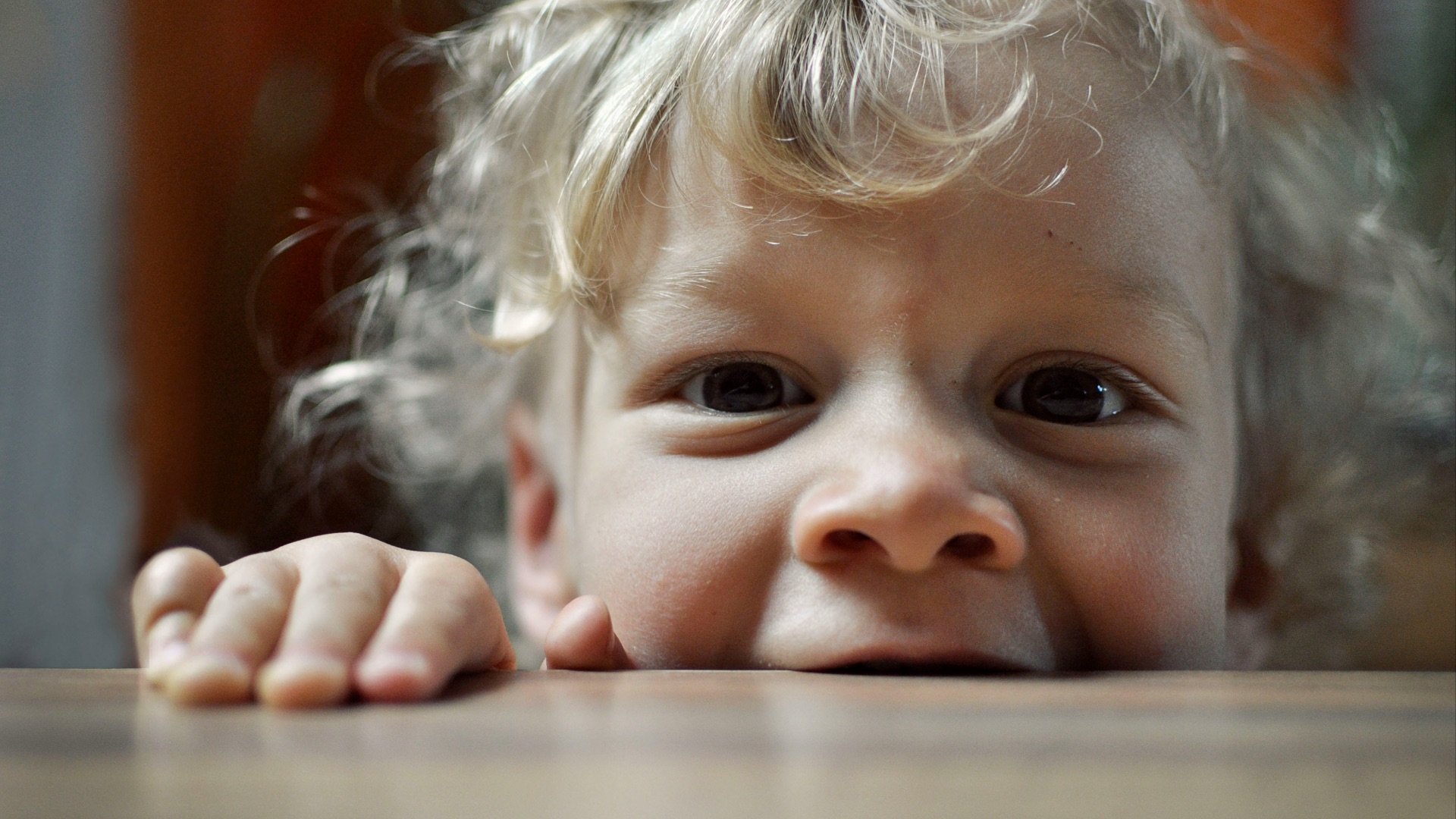 closeup photo of boy biting wood slab